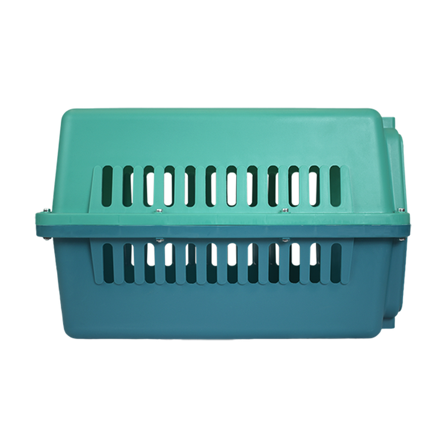 png_1500x1500_66882450