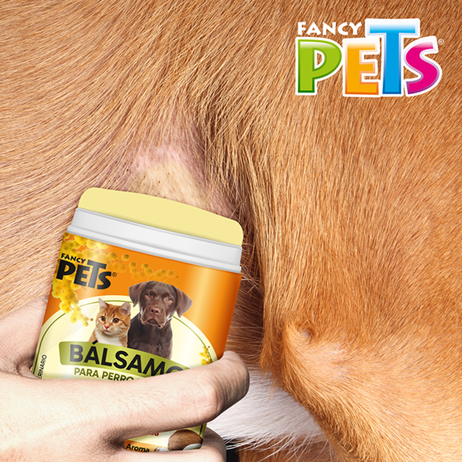 png_1500x1500_66882442