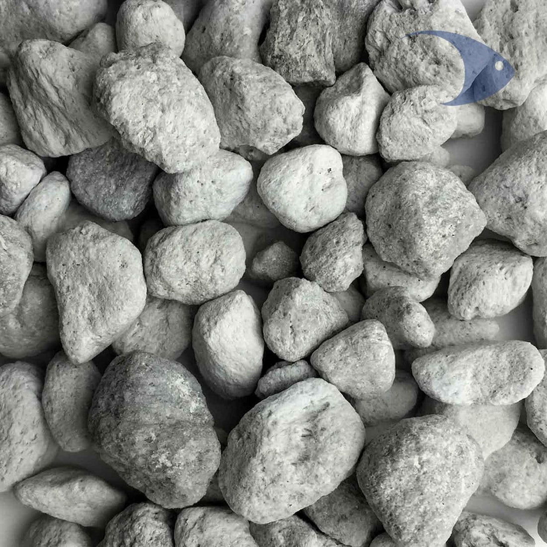 jpg_1500x1500_66882497