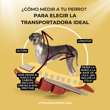 Guía para Elegir la Transportadora Ideal para tu Perro en Viajes en Avión | G.Valkyria - imagen destacada