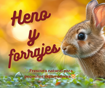 Henos y Forrajes 🌾 | Nutrición Natural para Roedores, Conejos y Más – G.Valkyria