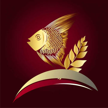 Decoración de acuarios