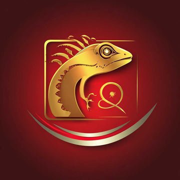 Decoración para reptiles