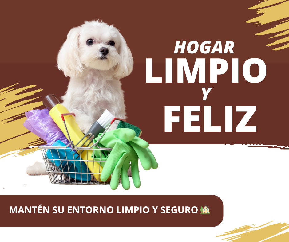 Higiene del Hogar y Espacios 🧼 | Limpieza Natural y Segura con G.Valkyria