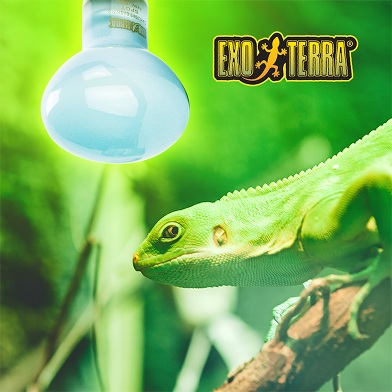 Exo Terra Sun Glo Neodymium 75w Reptile Terrarium Light