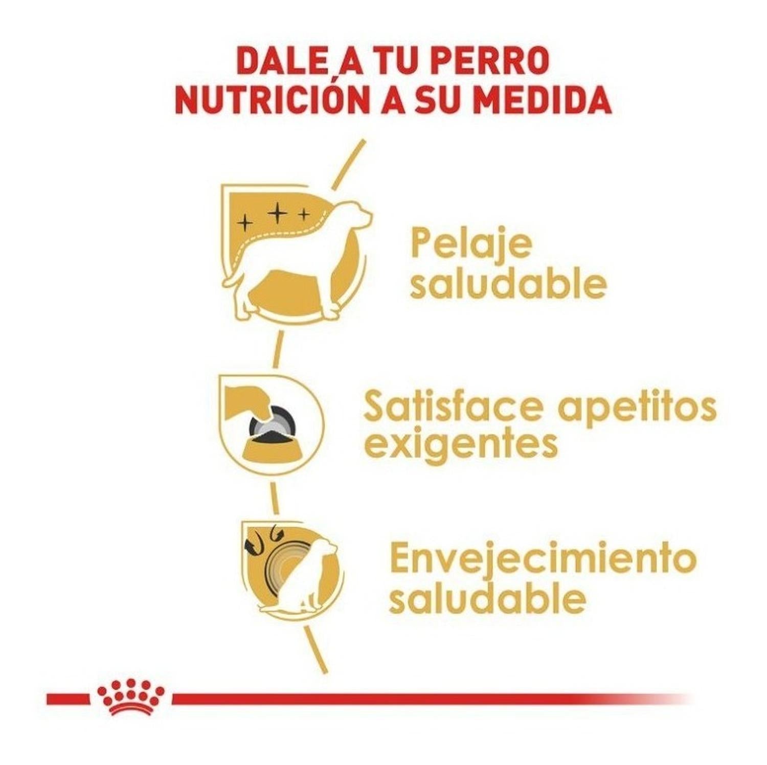 Royal Canin Yorkshire dog food 4.5 Kg