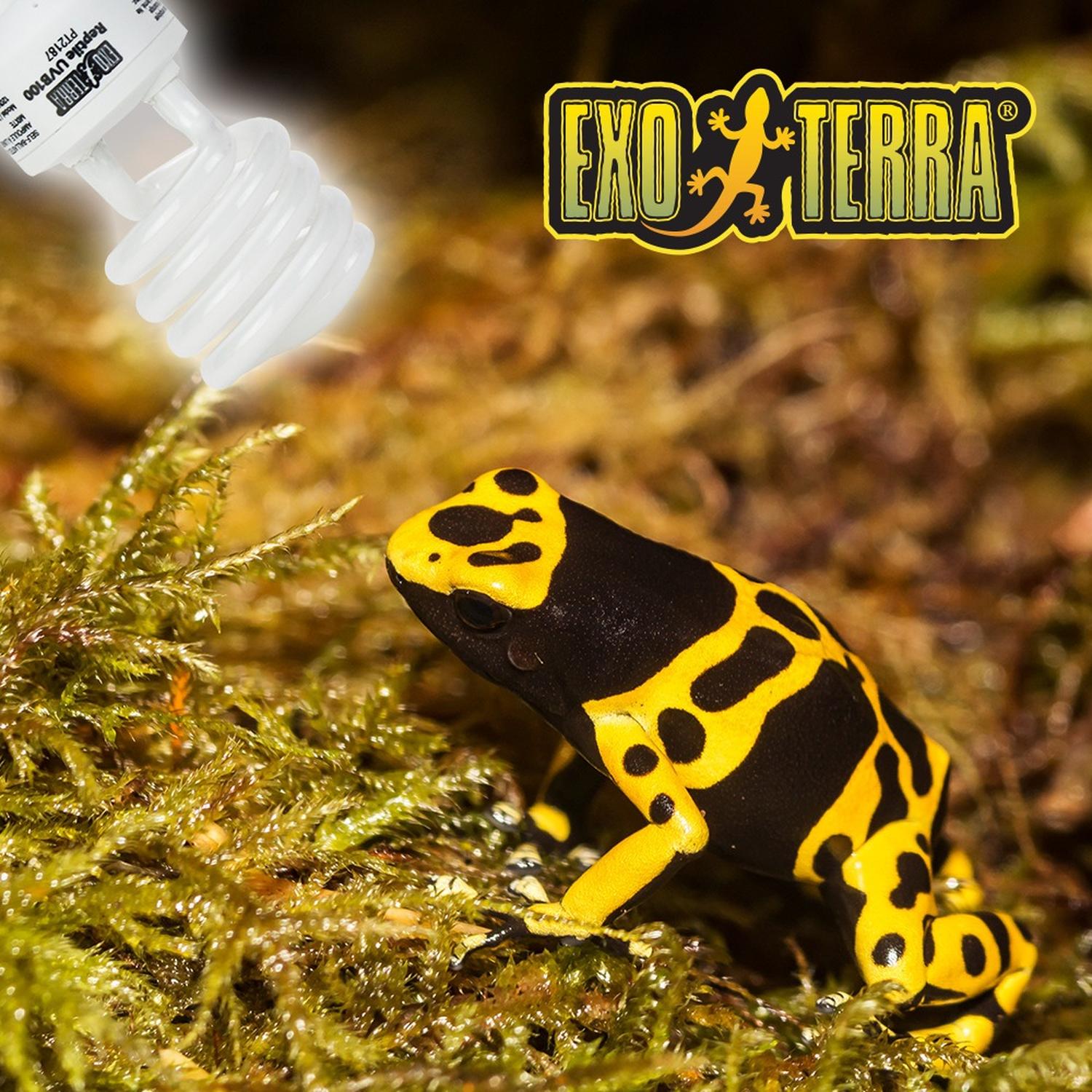 ExoTerra foco ReptiGlo 5.0 26w tortuga anolis camaleon