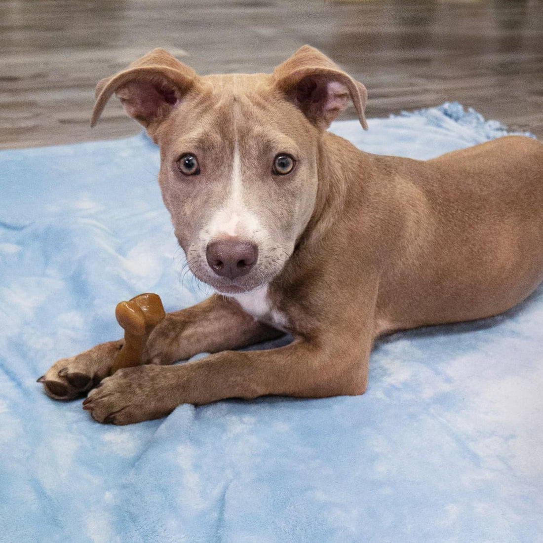 jpg_1500x1500_67953292