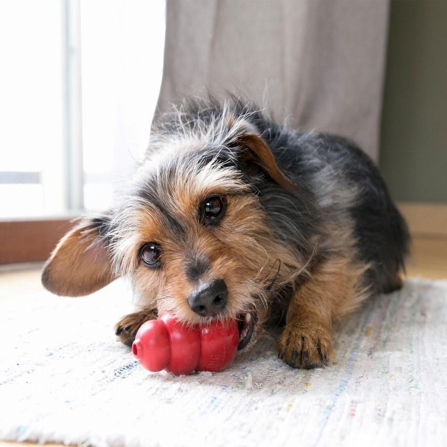 Juguete Para Perros Kong Clásico Chico