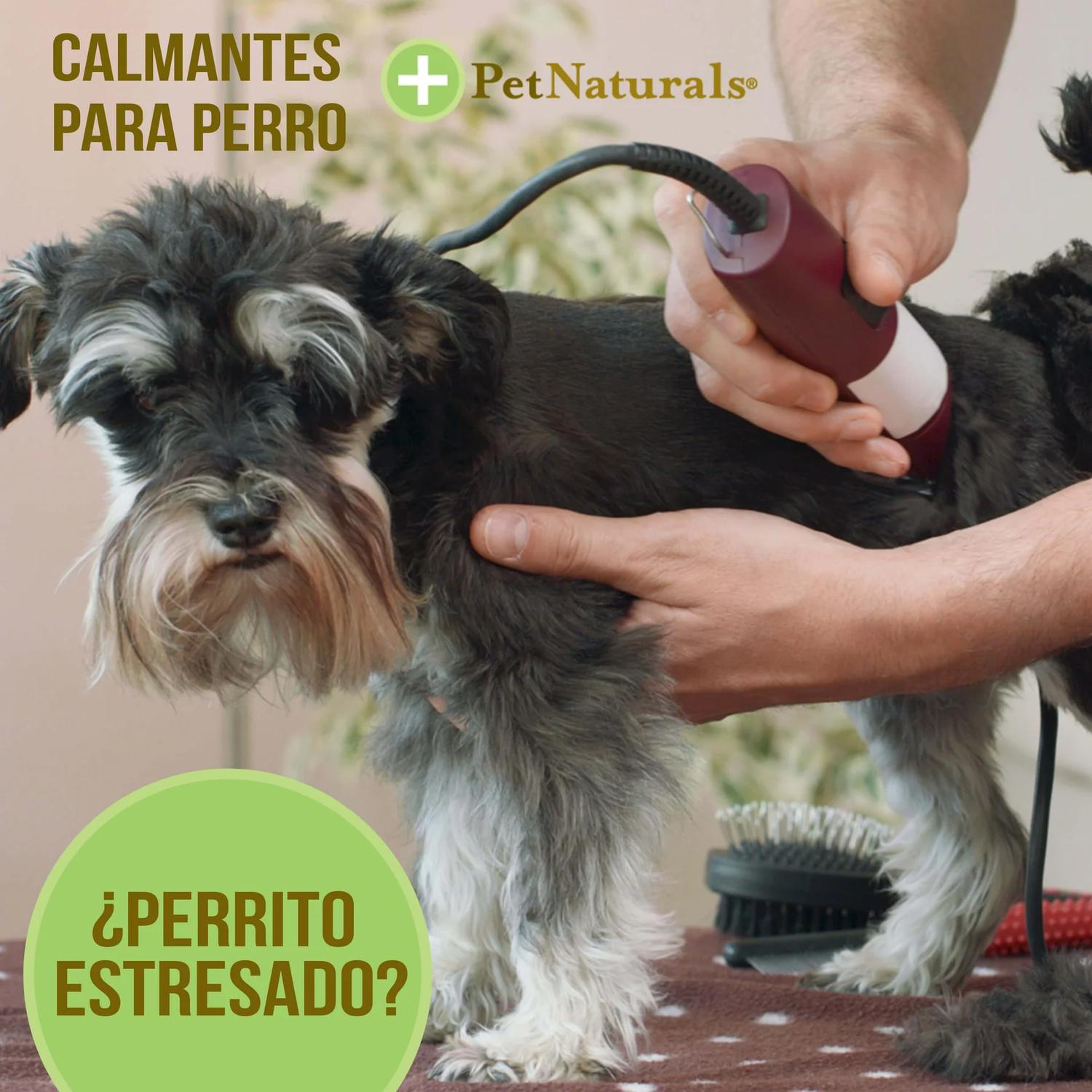 Pet Naturals Calmantes para Perros Chicos a base de calostro