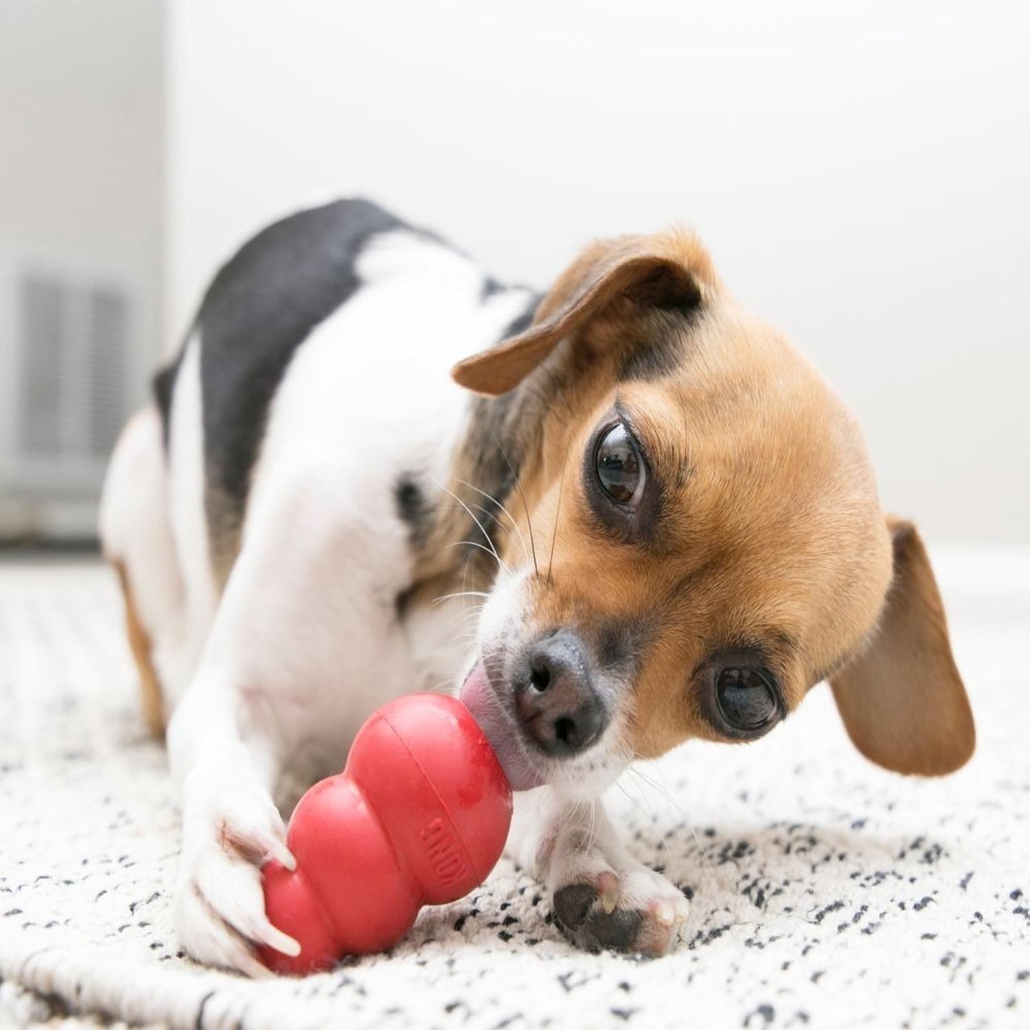 Juguete Para Perros Kong Clásico Extra Chico