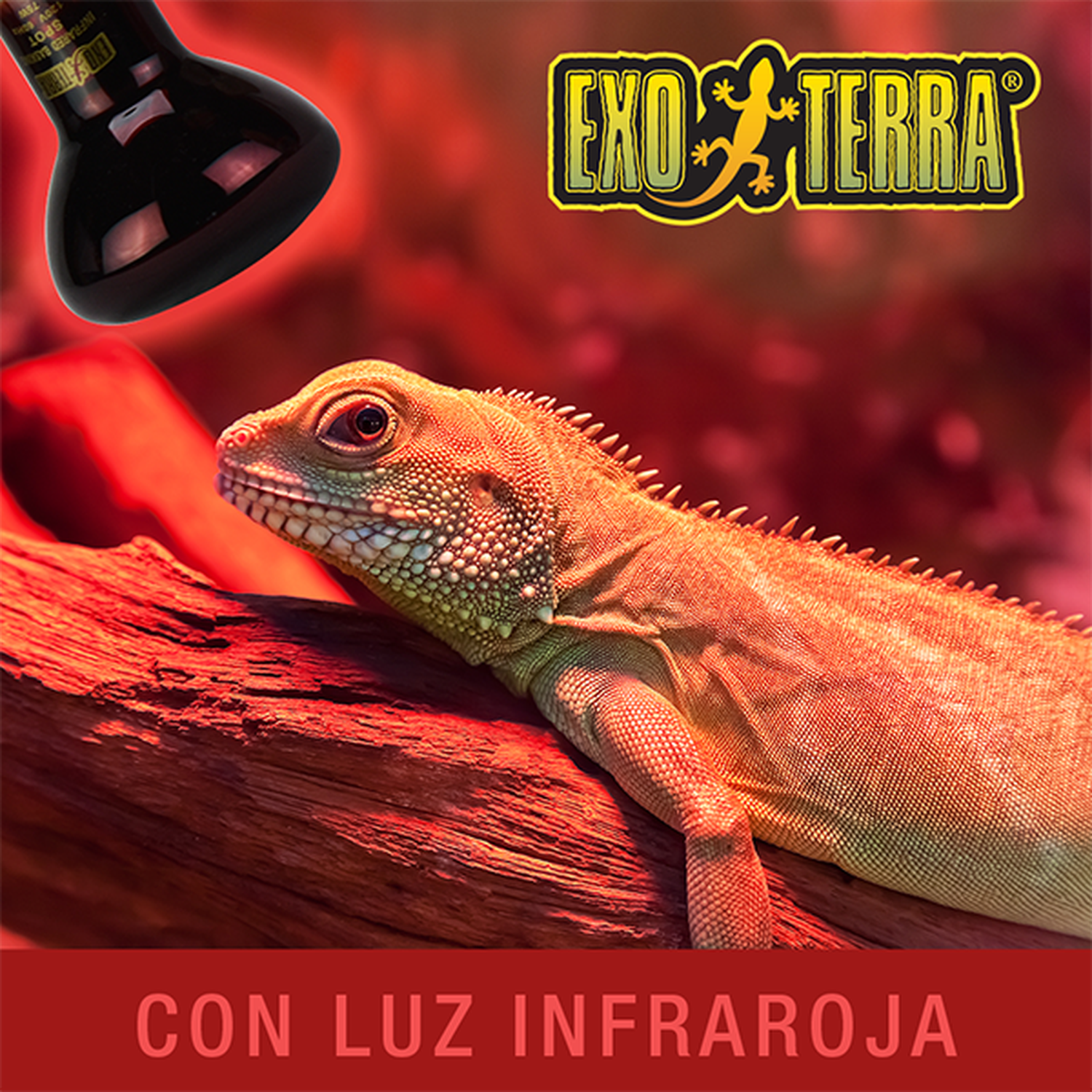Exo Terra foco para terrario reptiles Infrarrojo Heat Glo 75w