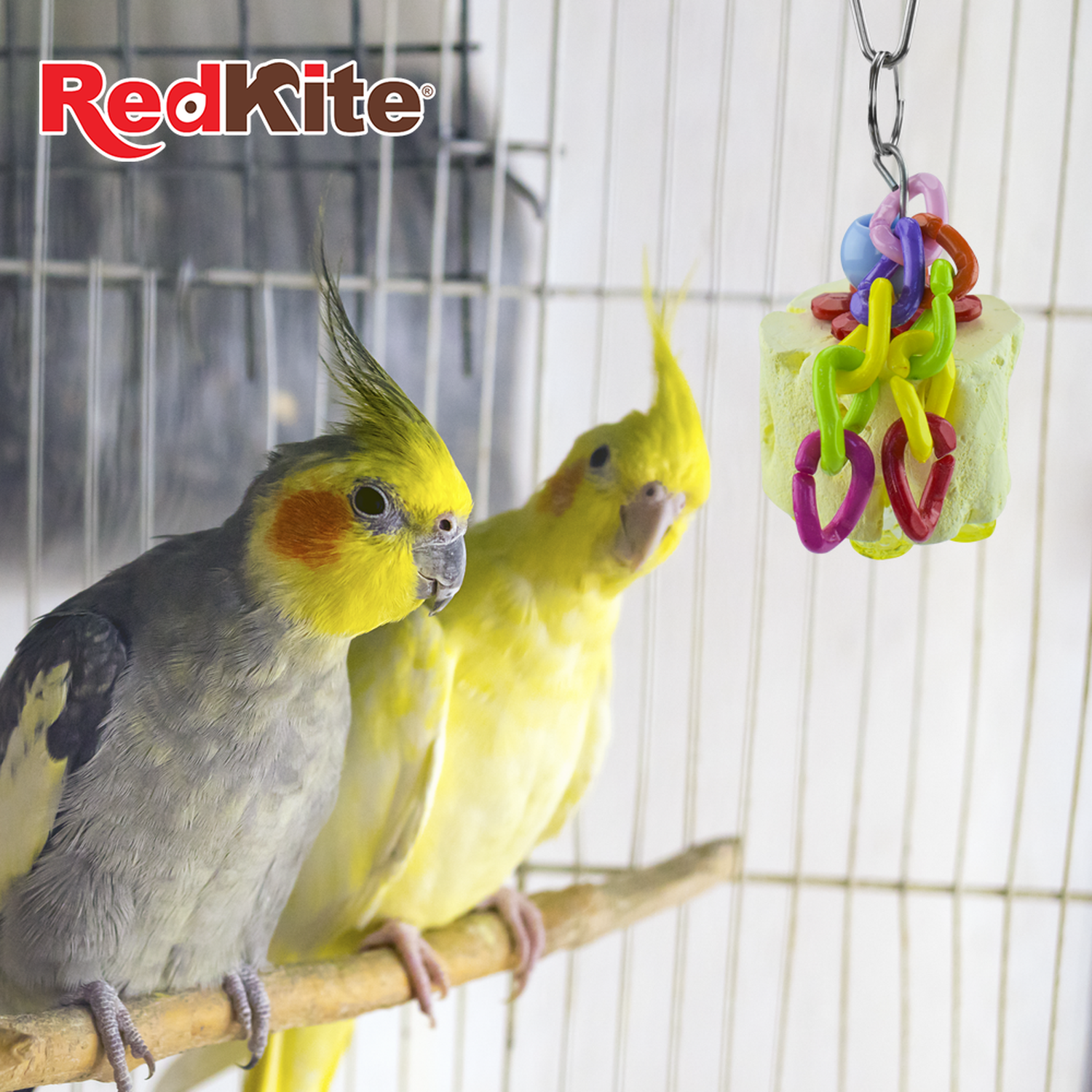 Redkite hanging toy for canaries and finches with calcium