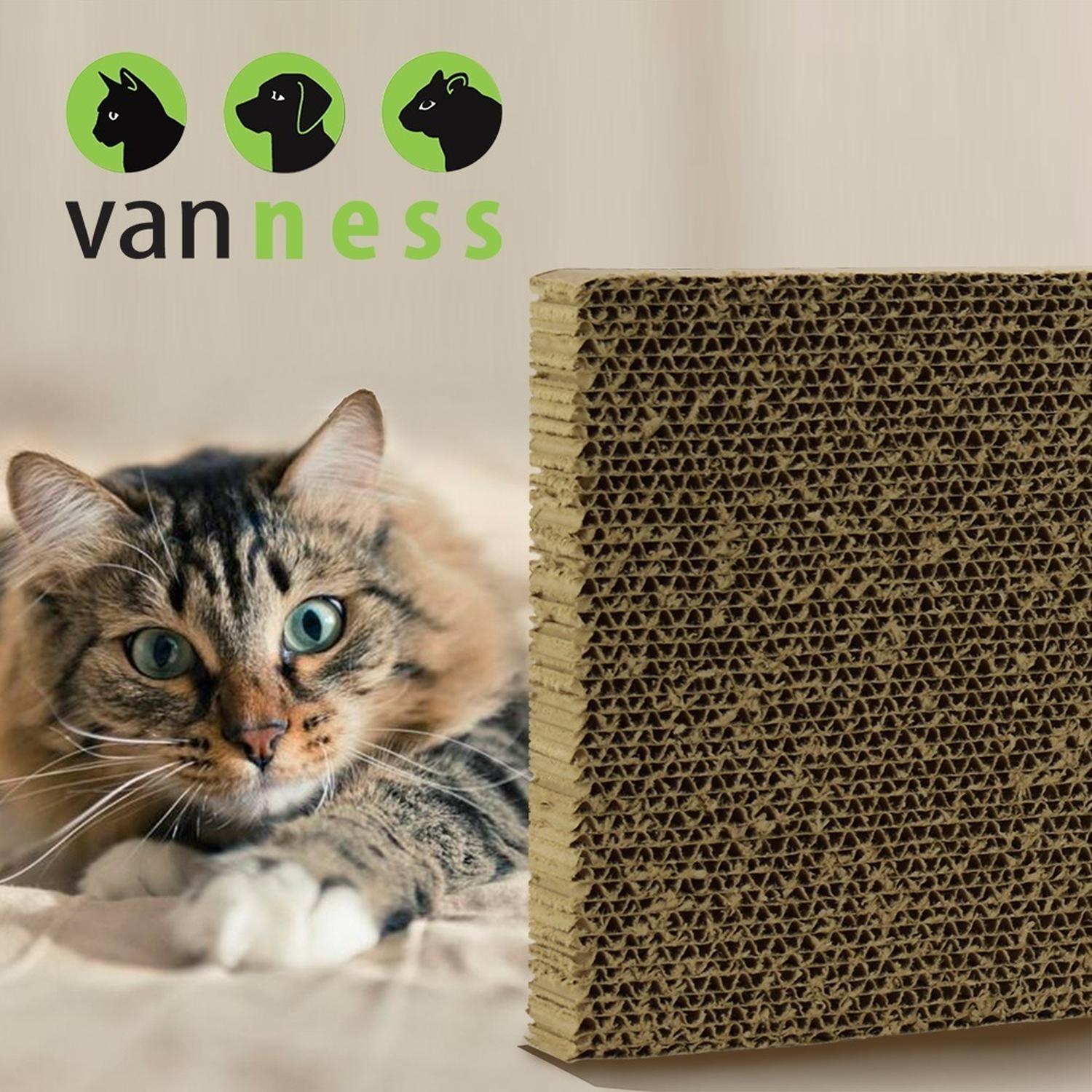 Tapete Rascador Gato Sencillo Incluye Catnip De Van Ness