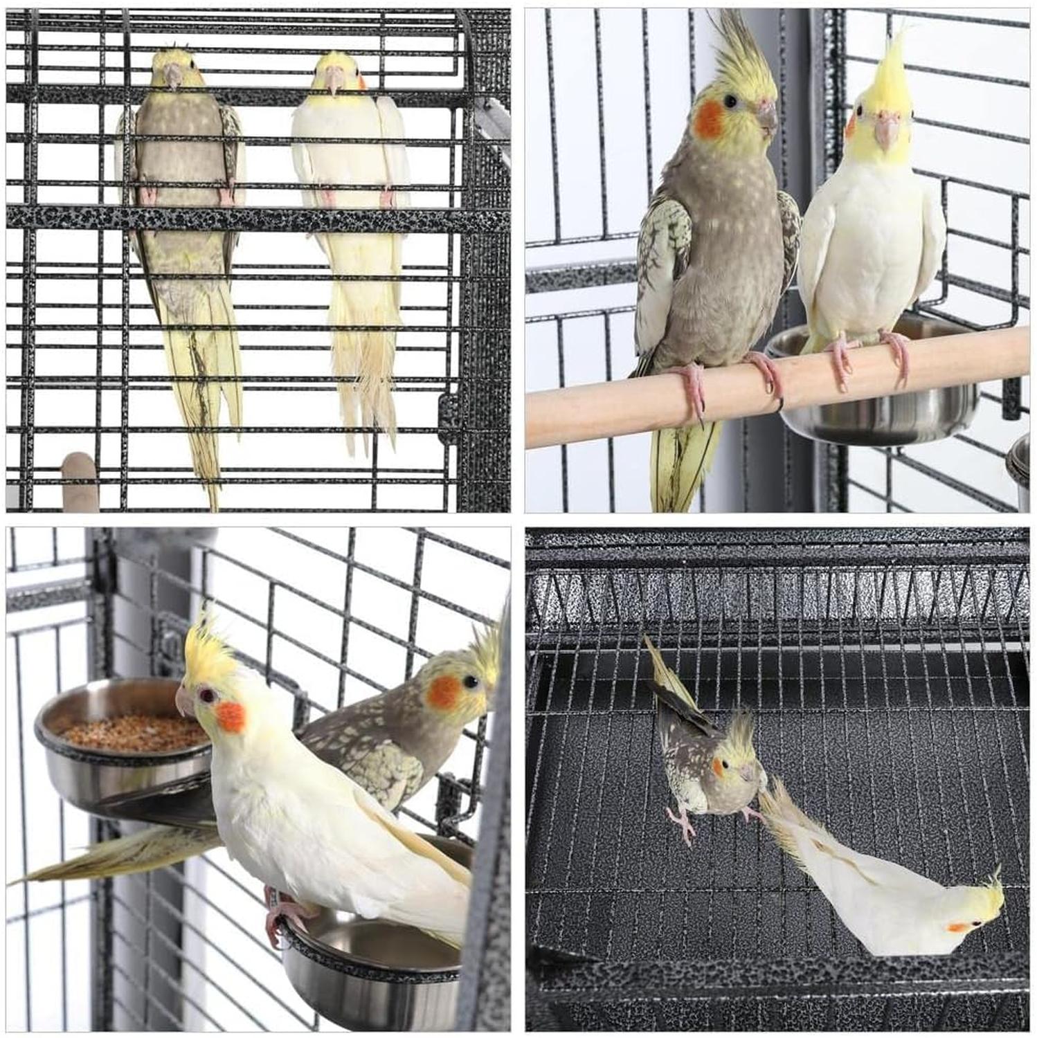 Redkite Guayaquil Parrot Cage Measures 83x77x168 Cms