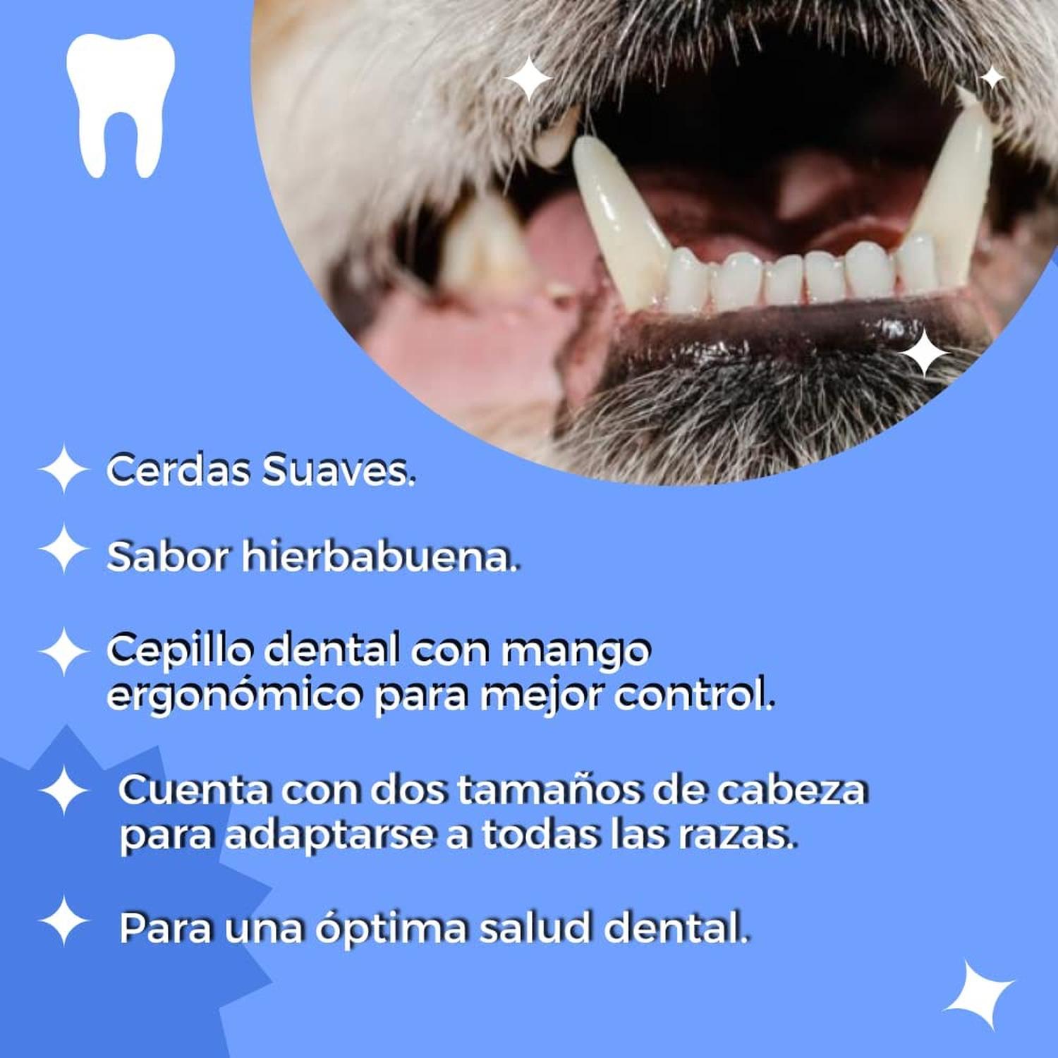 Kit Dental Pasta Y Cepillo Para Perros De Todas Las Edades