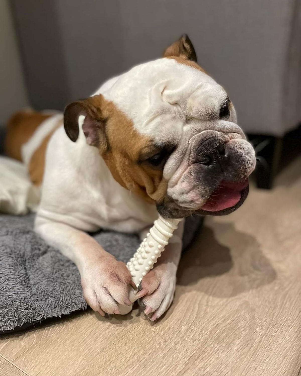 Juguete Nylabone perro Power Chew pollo +23kg extreme gigante