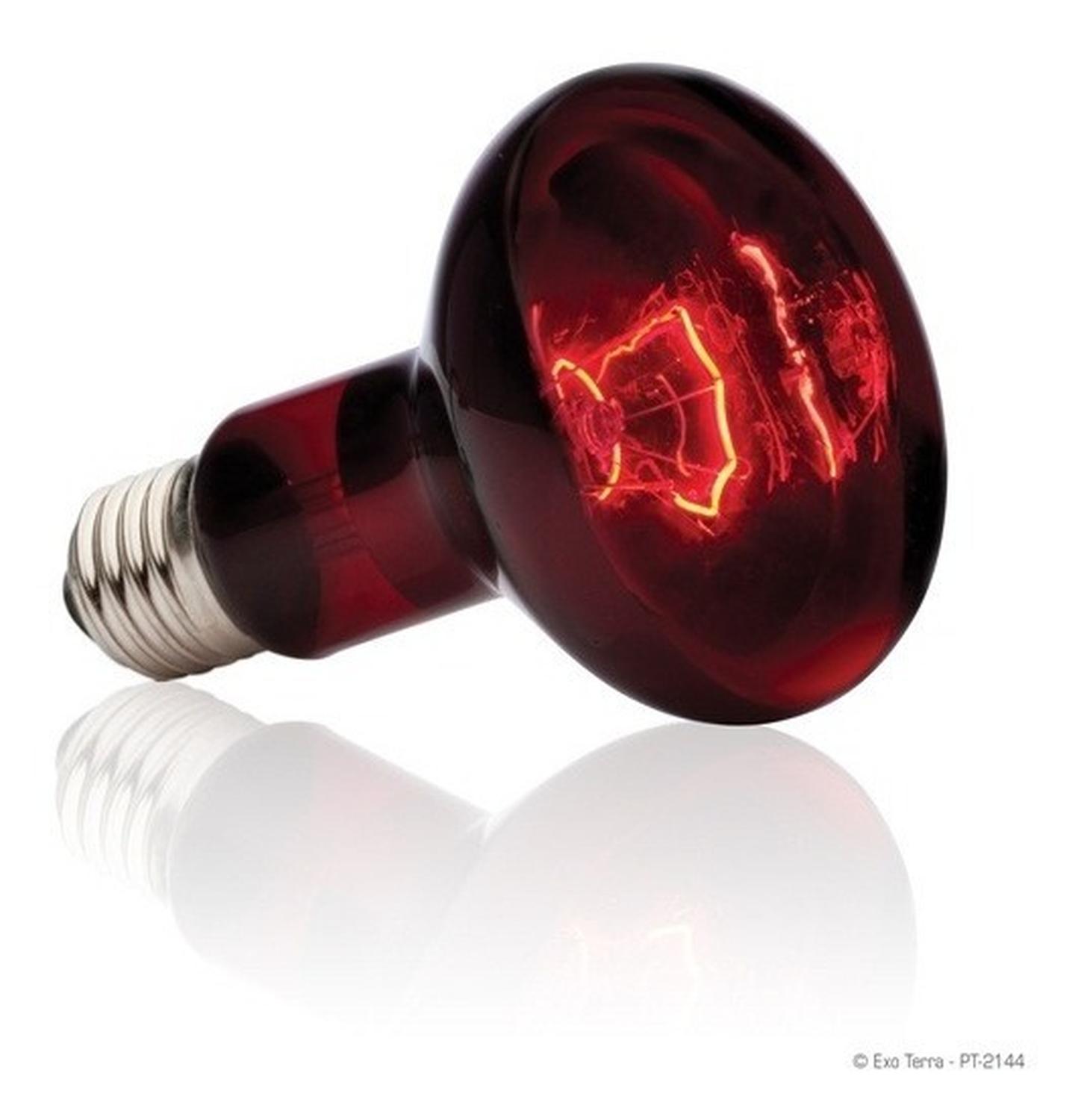 Exo-Terra terrarium or reptile HeatGlo 100w infrared spotlight