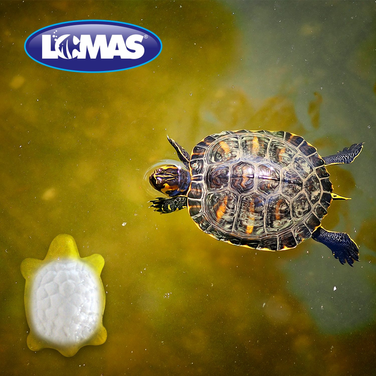 LOMAS Calcio Para Tortugas Con Vitamina A caparazón fuerte