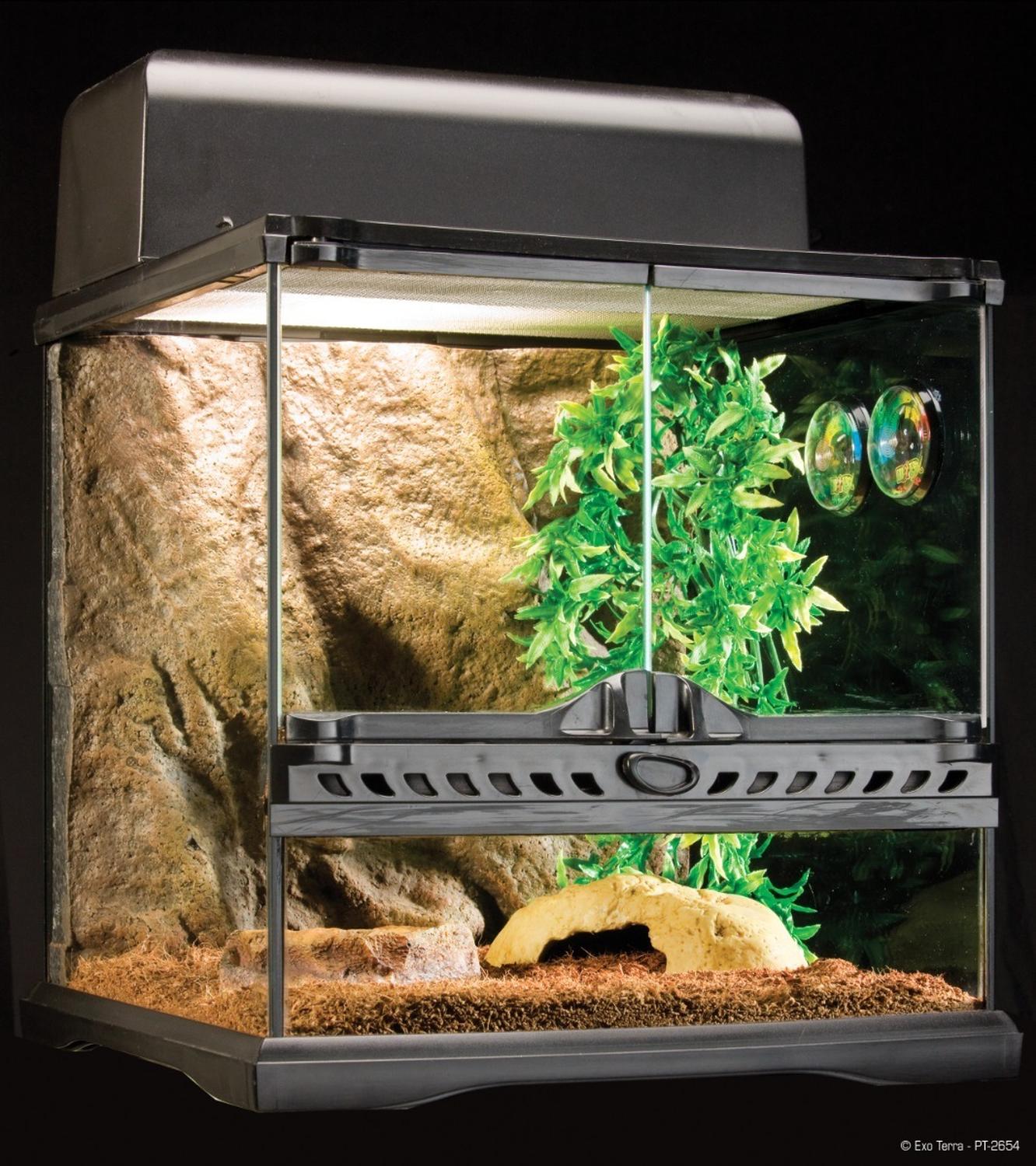 Exo Terra Terrario Insectario Invertebrados 30 X 30 X 30 Cms