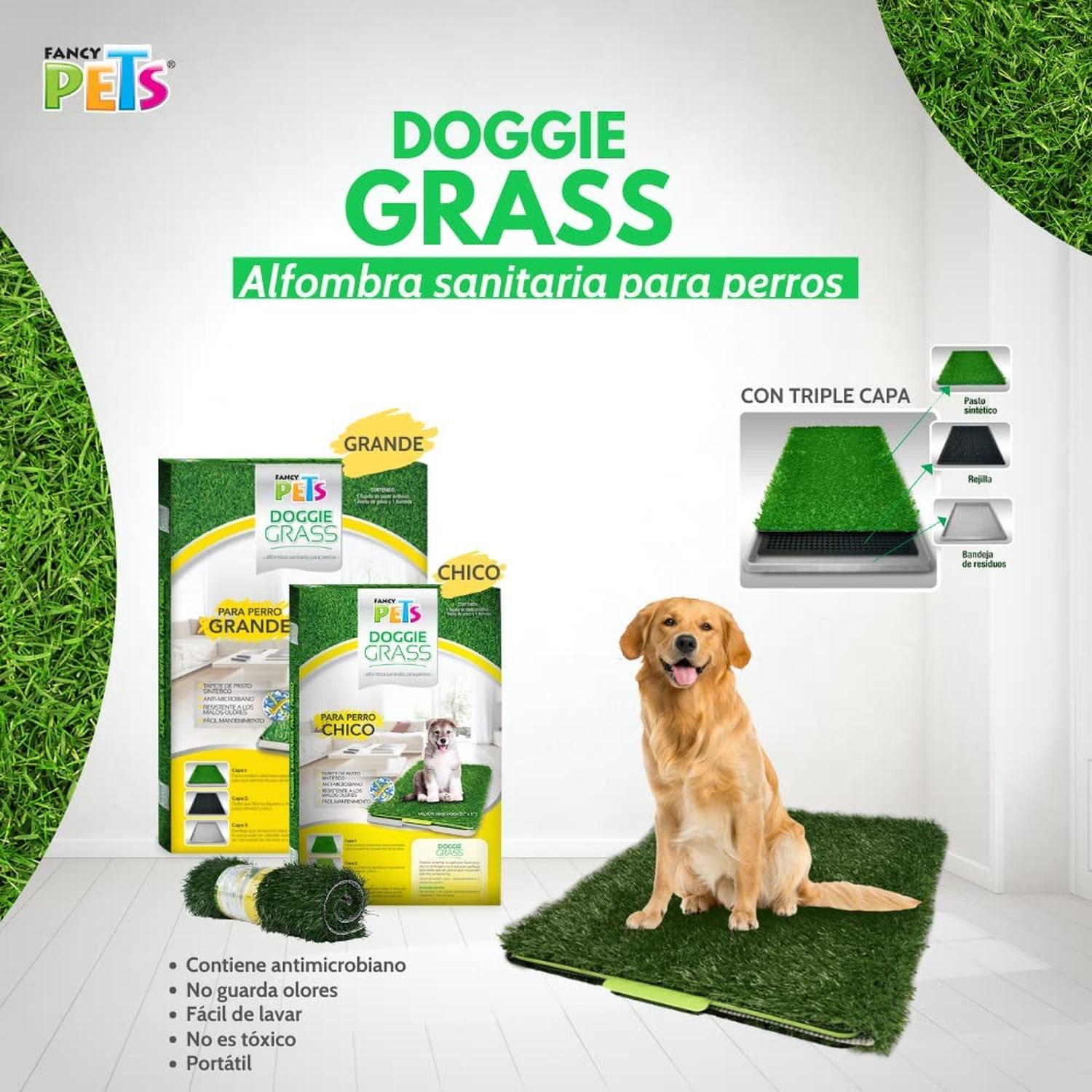 Doggie Grass Tapete Entrenador Pasto Sintetico perro chico