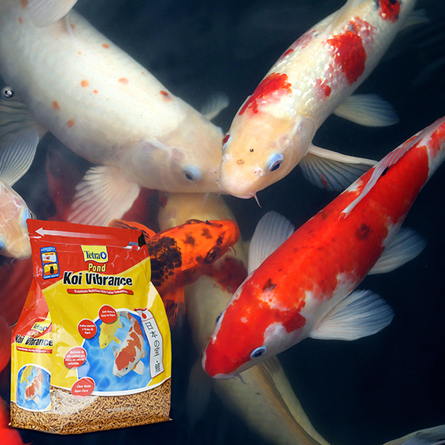Tetra alimento carpas estanque Tetra Pond Koi Vibrance 1.1kg