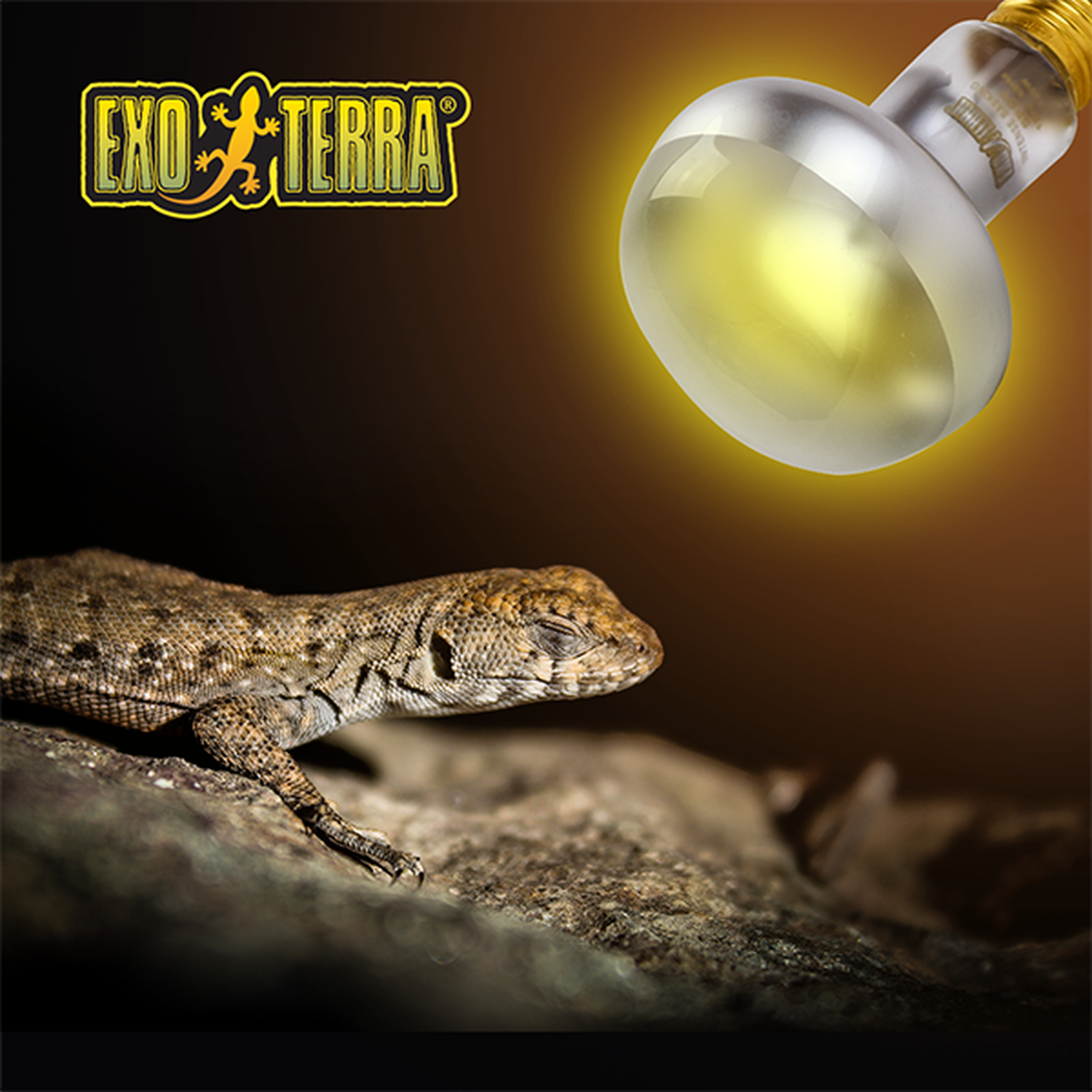 Exo Terra foco para terrario reptiles Sun Glo Tight Beam 50w