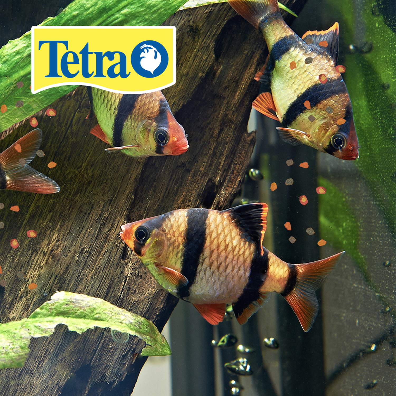 TetraPro food for Japanese fish and betta Crisp pellets 224g