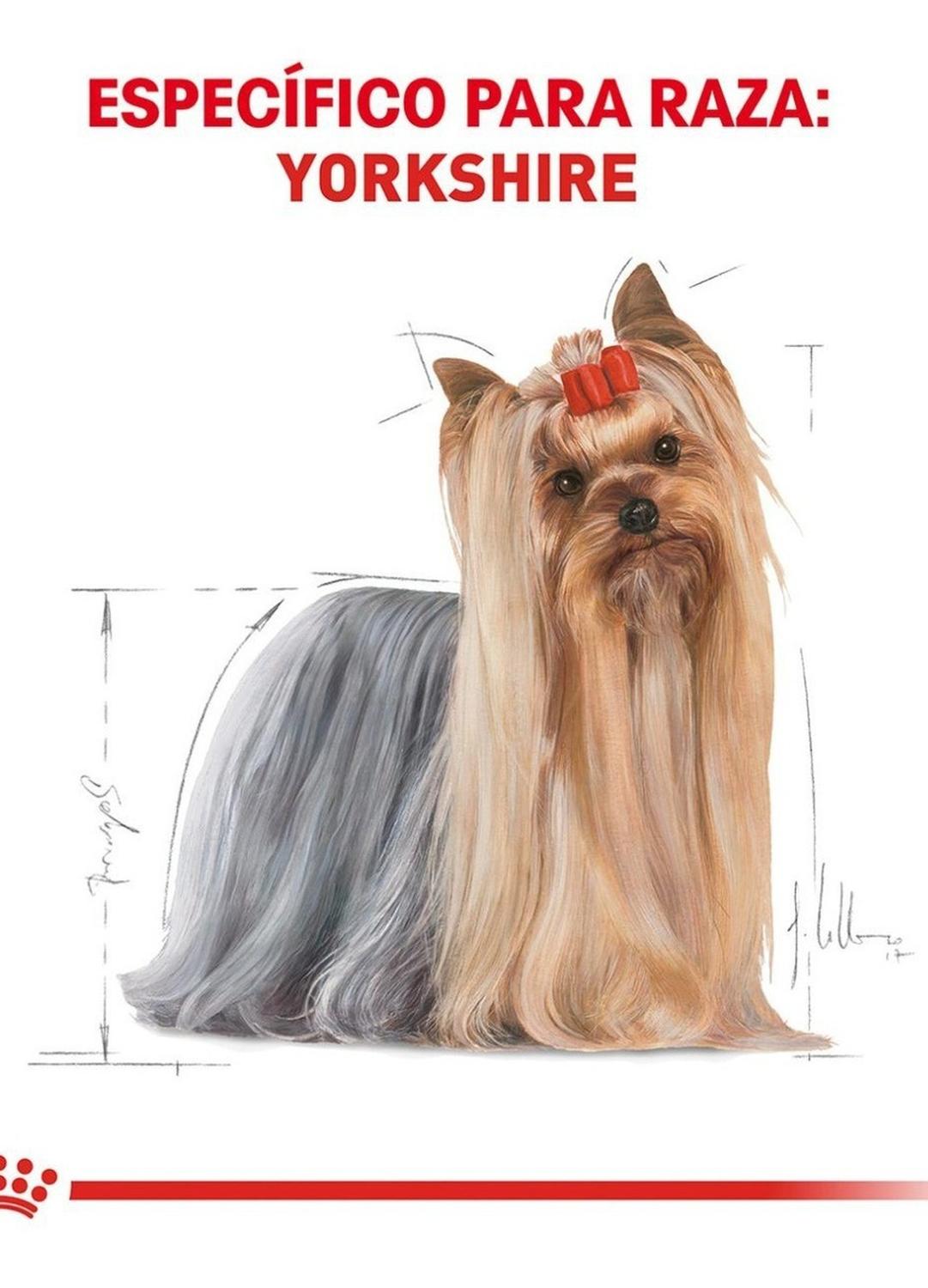 Royal Canin Yorkshire dog food 4.5 Kg