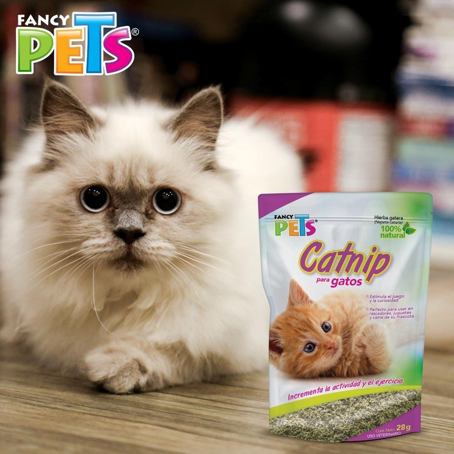 Catnip Gatos Hierba Gatuna 28G Fancy Pets Nepeta cataria