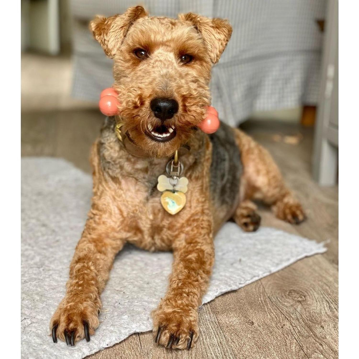 jpg_1500x1500_67953338