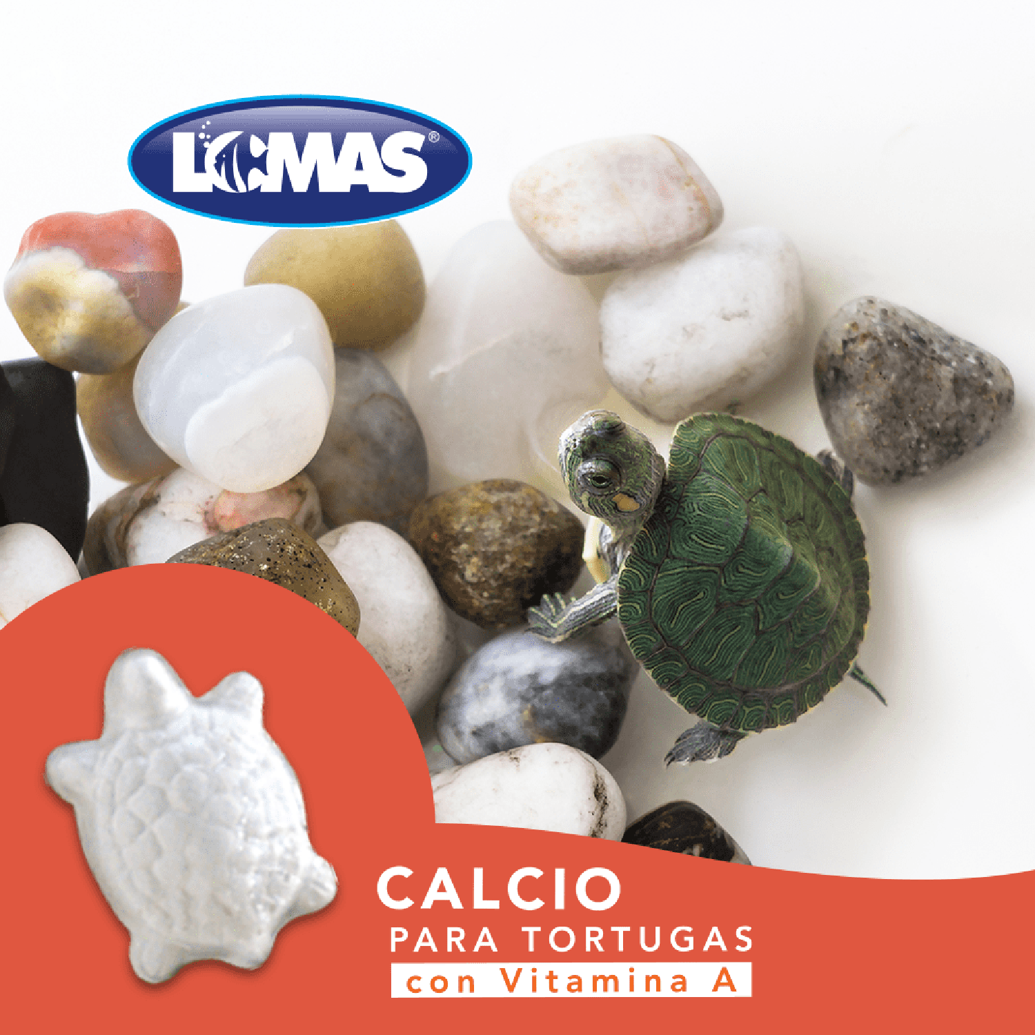 Lomas fortalecedor de caparazón para Tortugas agua 2 pzas
