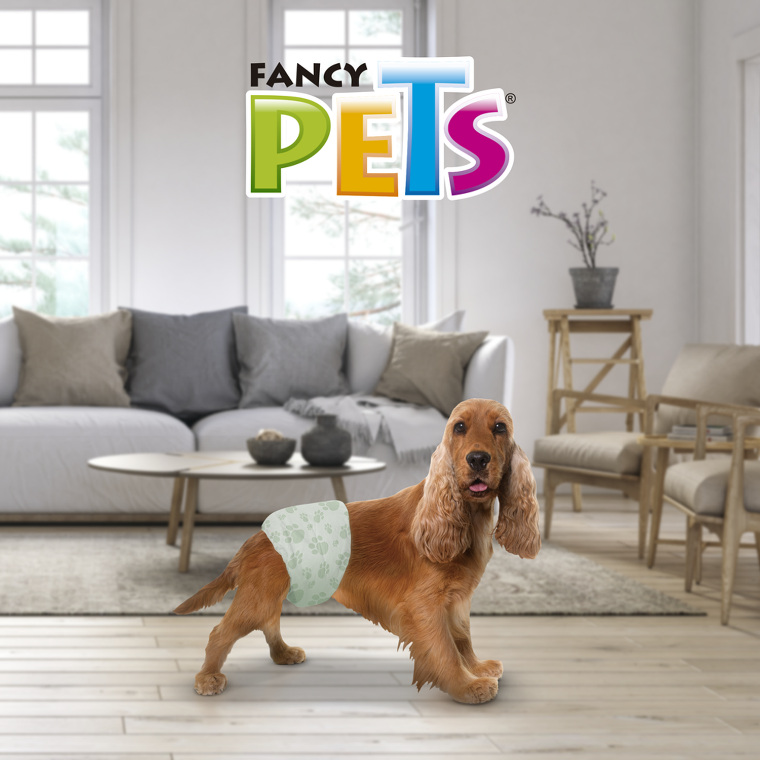 Fancy Pets Pañales para perro macho tamaño mediano 12 piezas