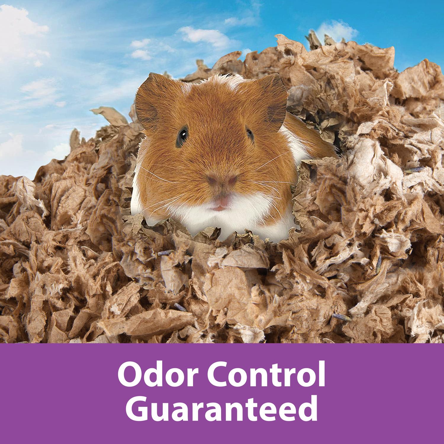 Kaytee Rabbit Bed Substrate Clean &amp; Cozy Lavender 24.6L