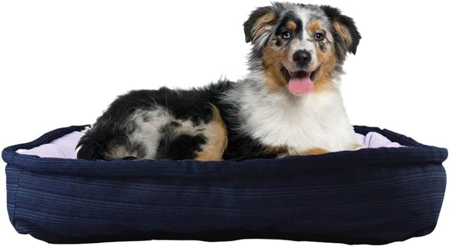Cama Económica Rectangular Mediana 60x40 Cms para perros
