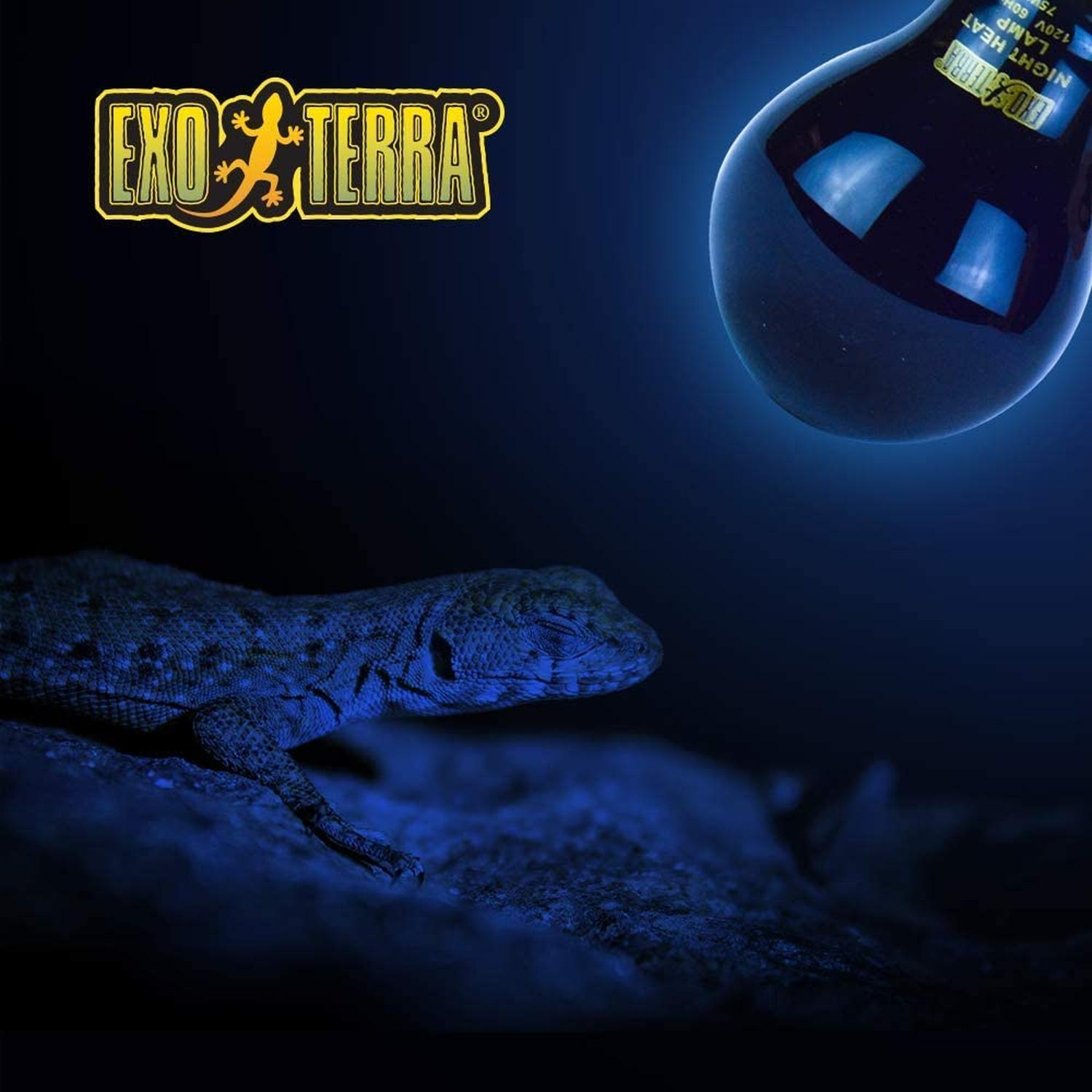 Foco Exo-Terra para reptiles terrarios luz de luna 75w noche