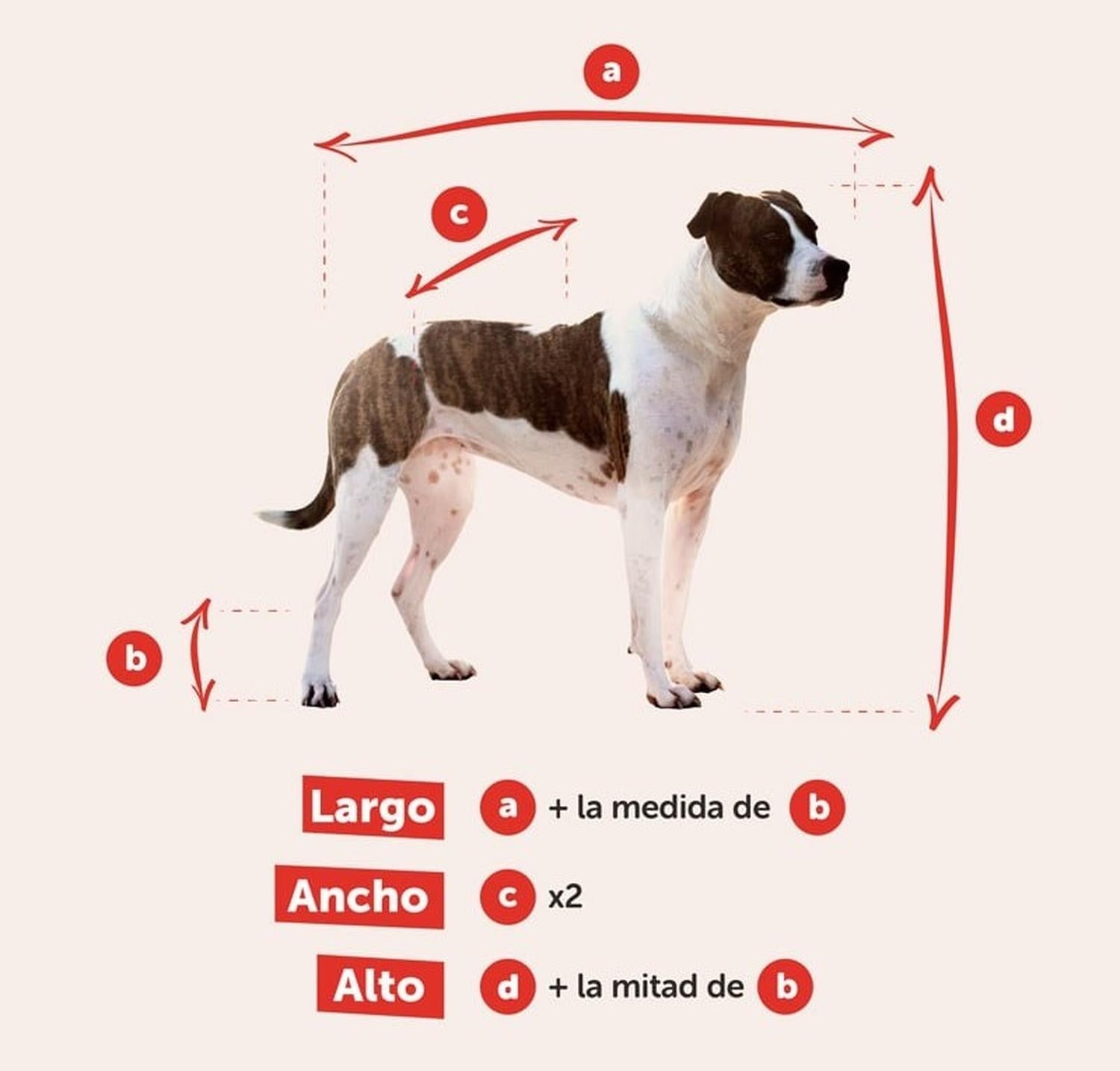 Transportadora perro Vari Kennel Gigante 120x80x87