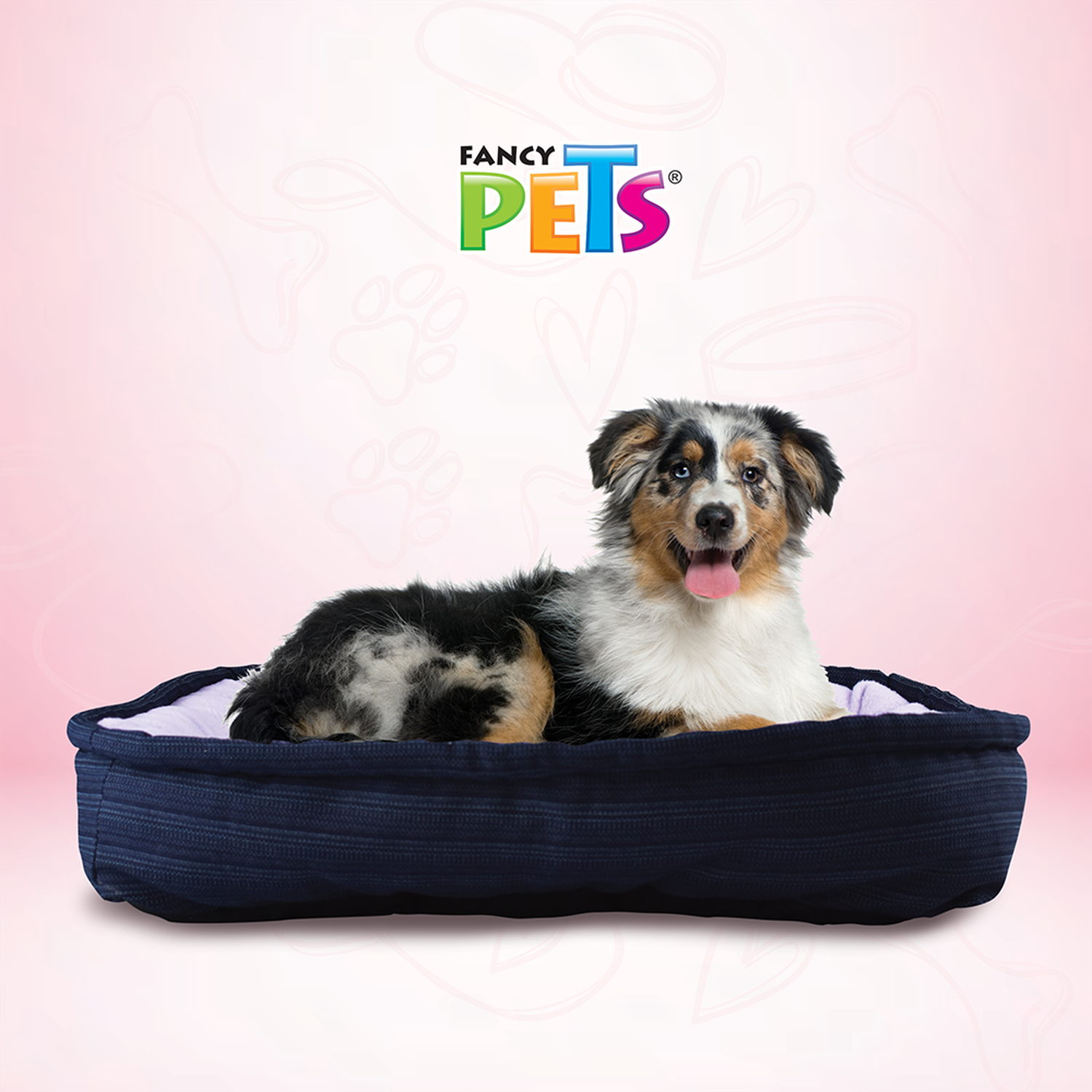 Cama Económica Rectangular Mediana 60x40 Cms para perros