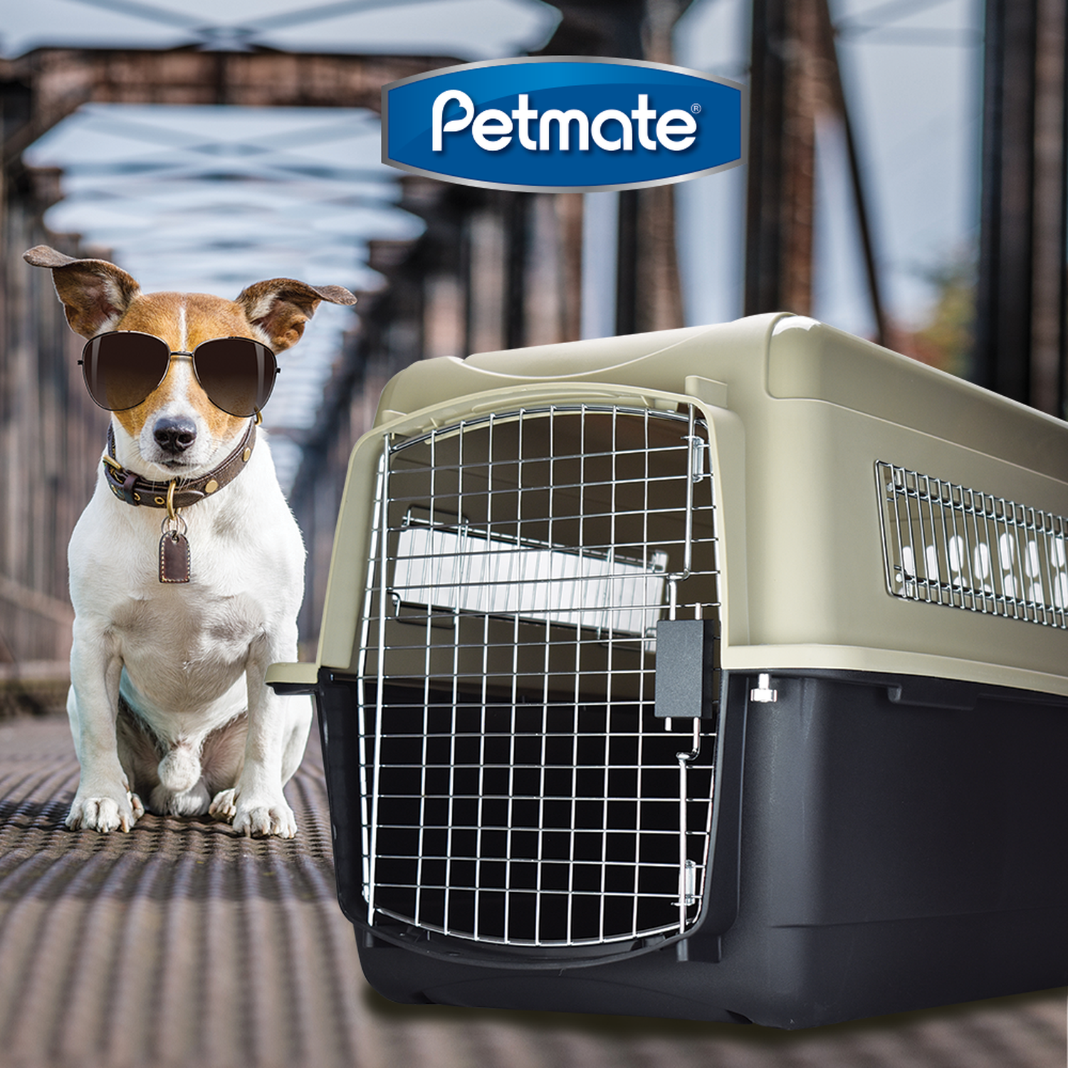 Transportadora perro Vari Kennel Petmate mediana 71x52x55 cm