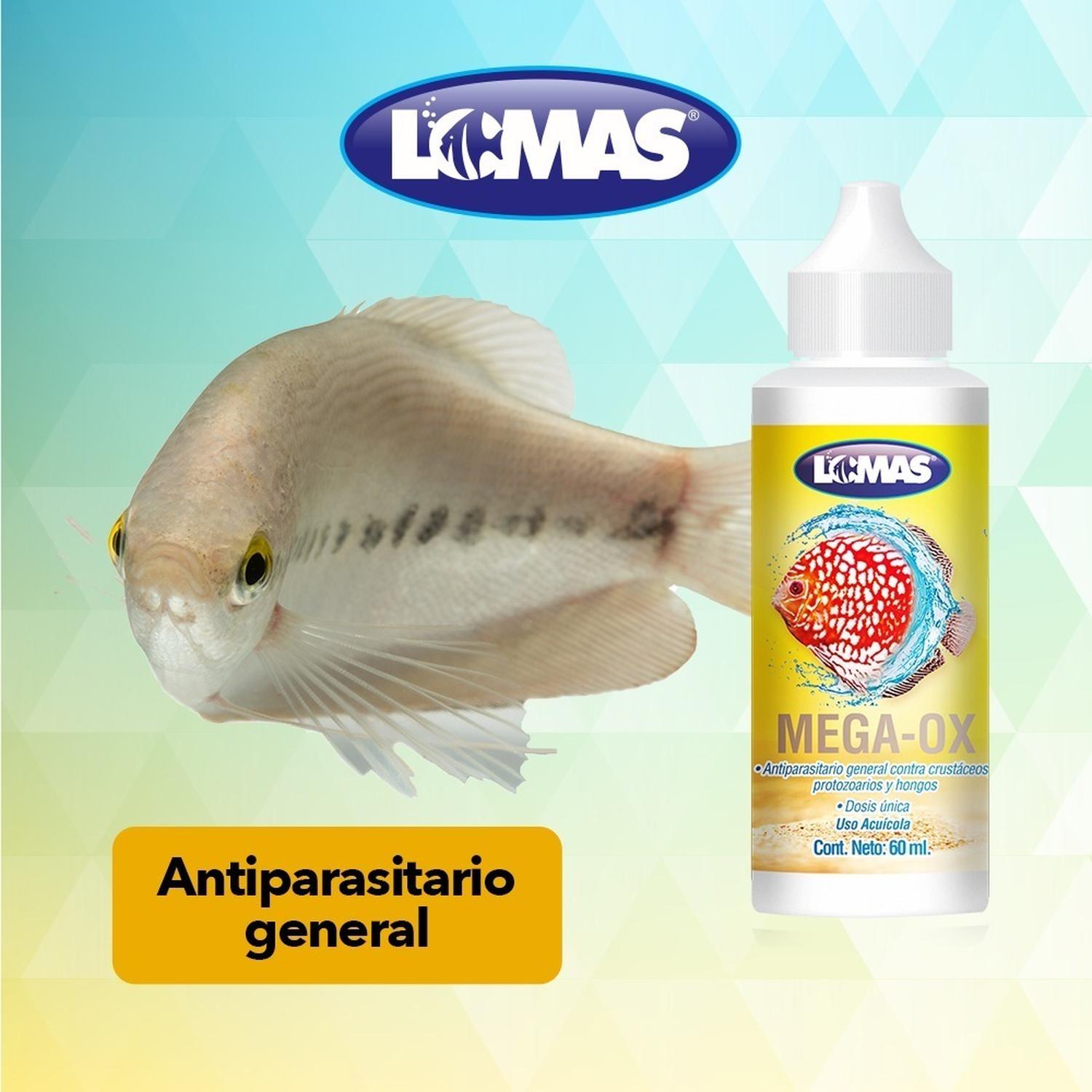 Mega Ox Antiparasitario, Crustáceos, Protozoarios Y Hongos