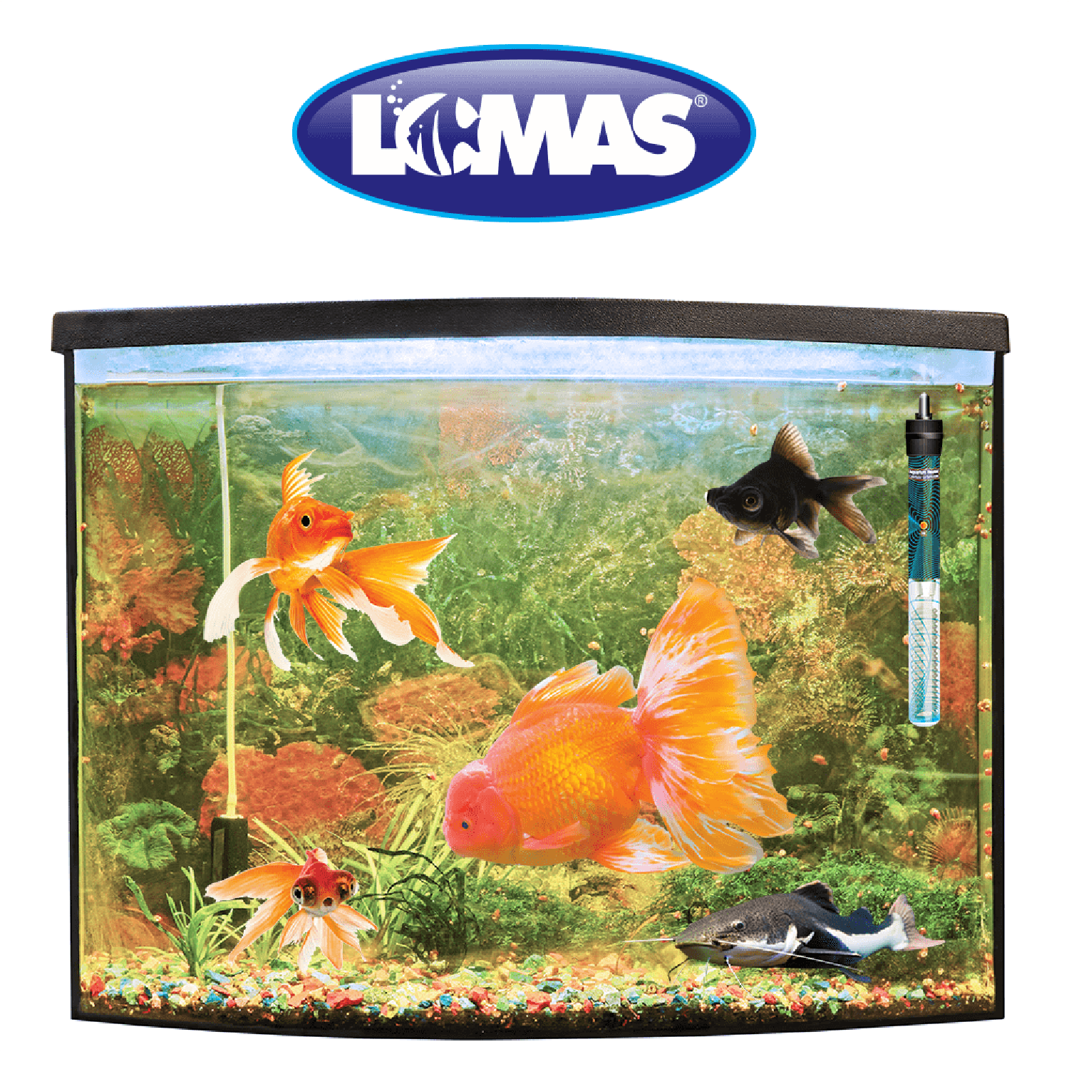 Lomas Calentador peceras acuario Termostato Thermo-Jet 50 W