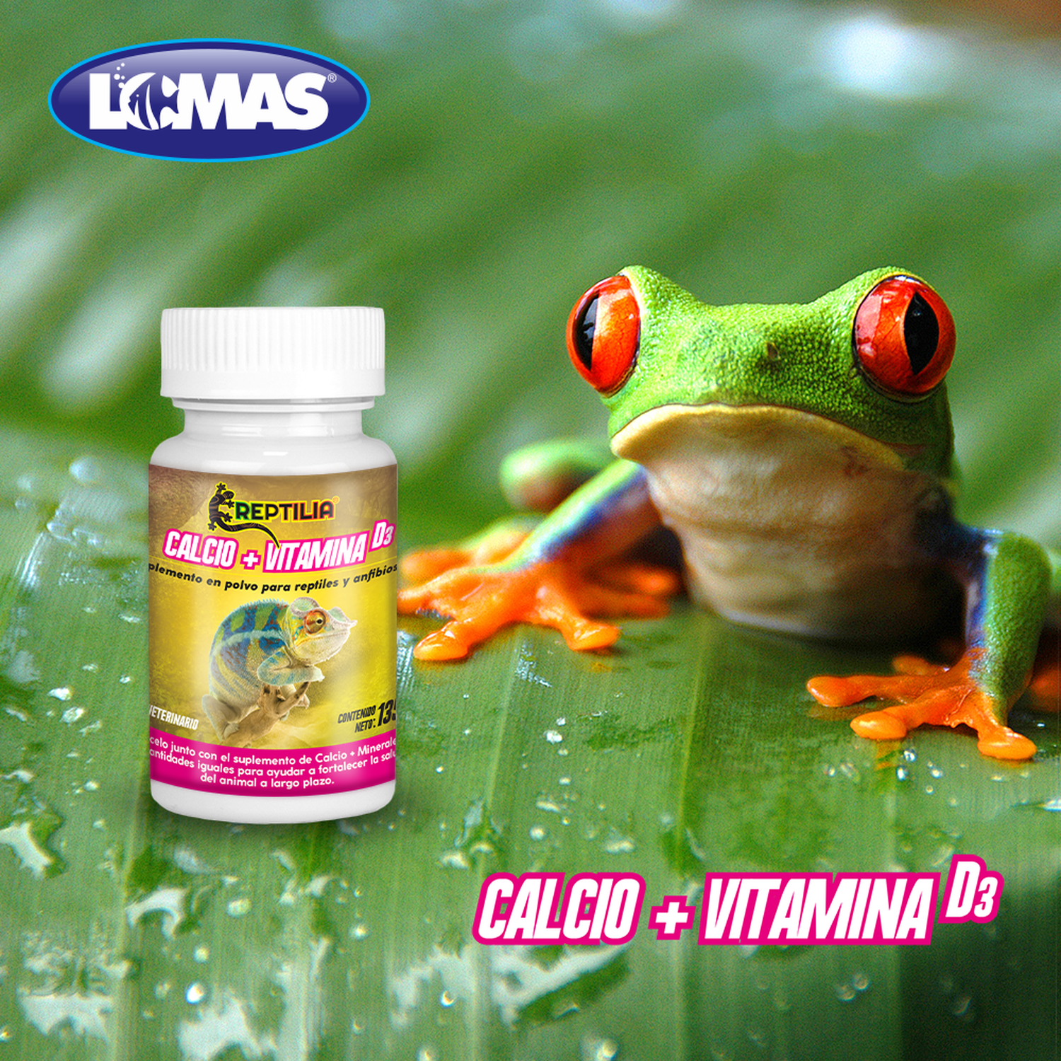 Suplemento calcio y vitamina D3 para iguanas, geckos, ranas
