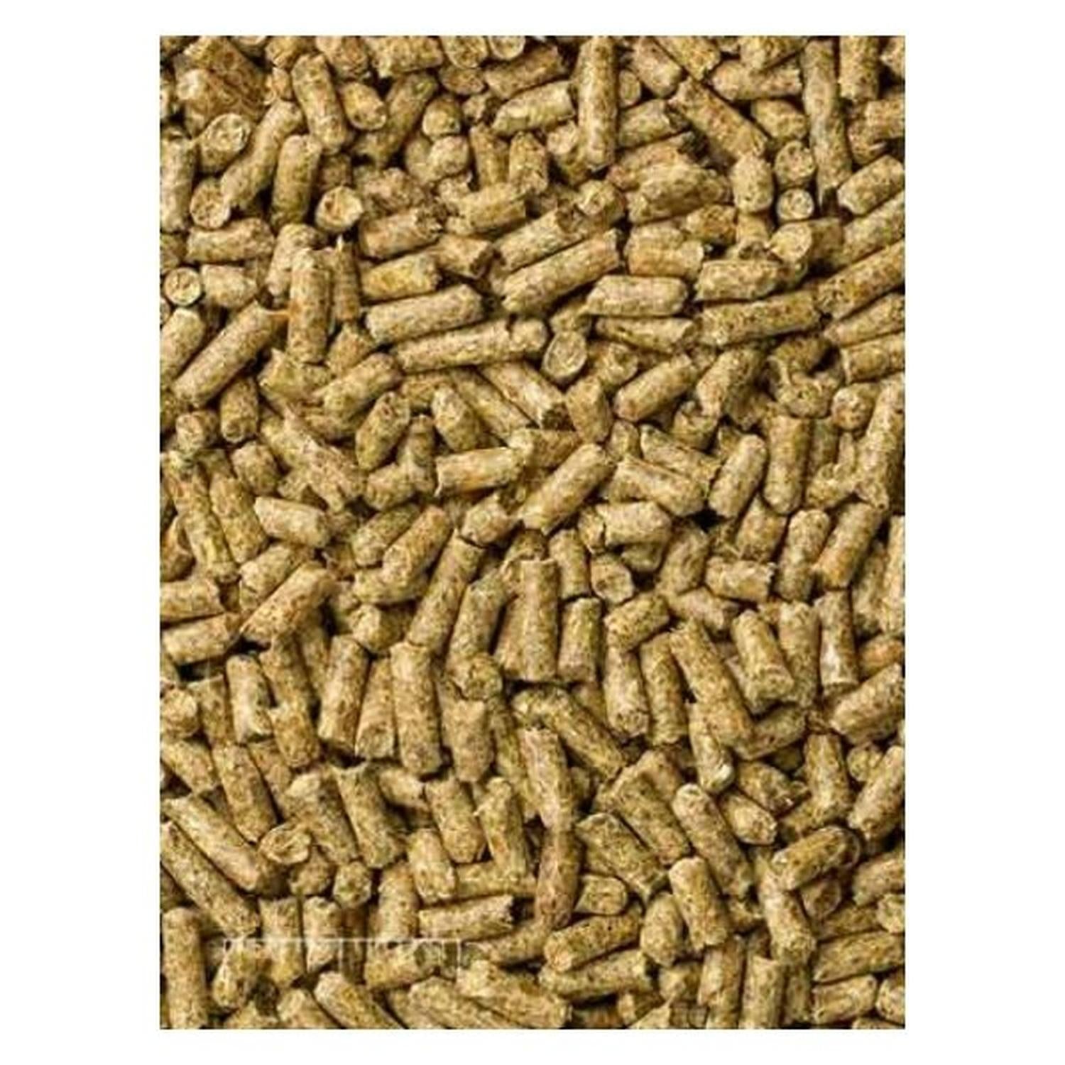Mazuri Alimento cuyo cualquier etapa heno timothy 1.3kg