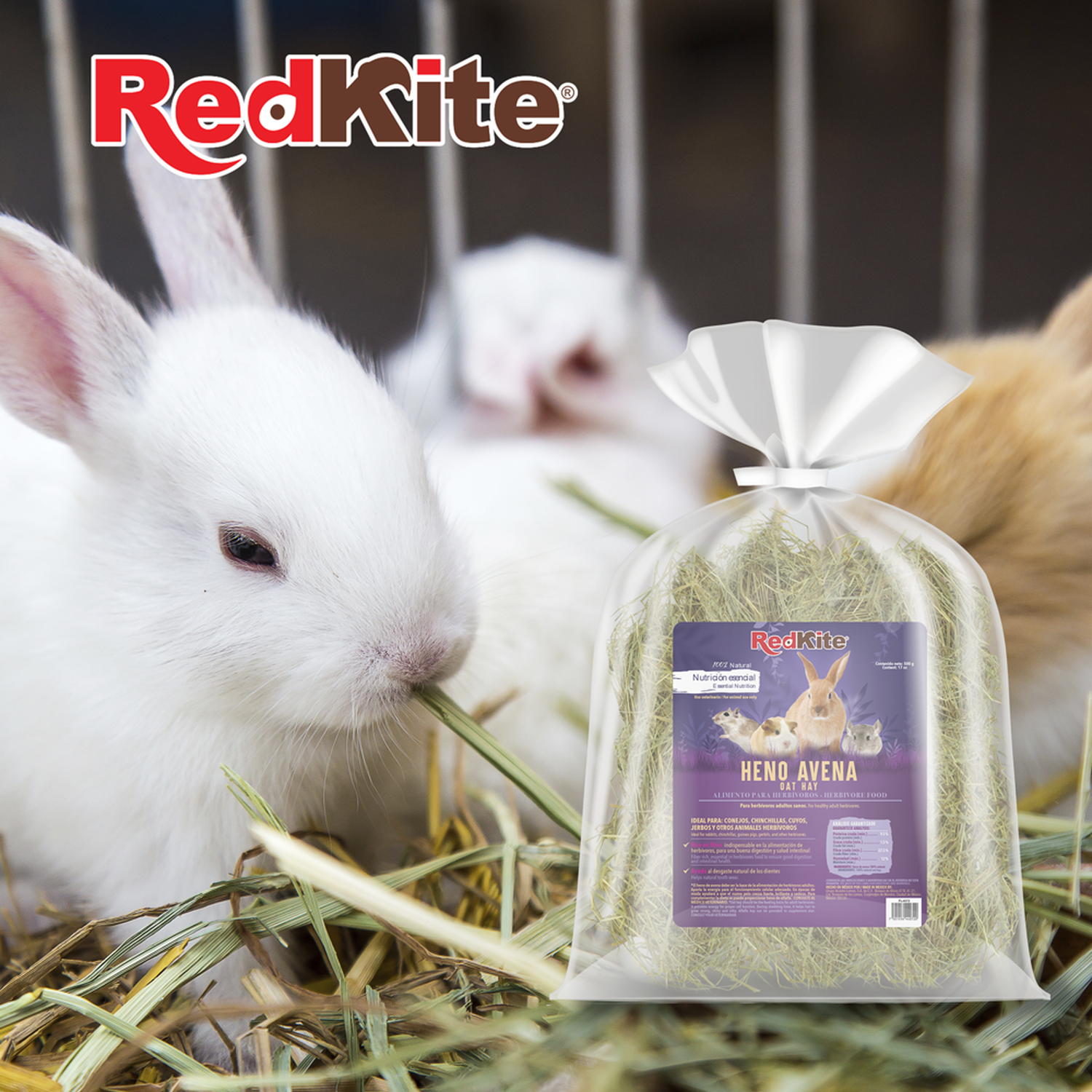 Redkite oat hay whose rabbit chinchilla rodent 500 grs