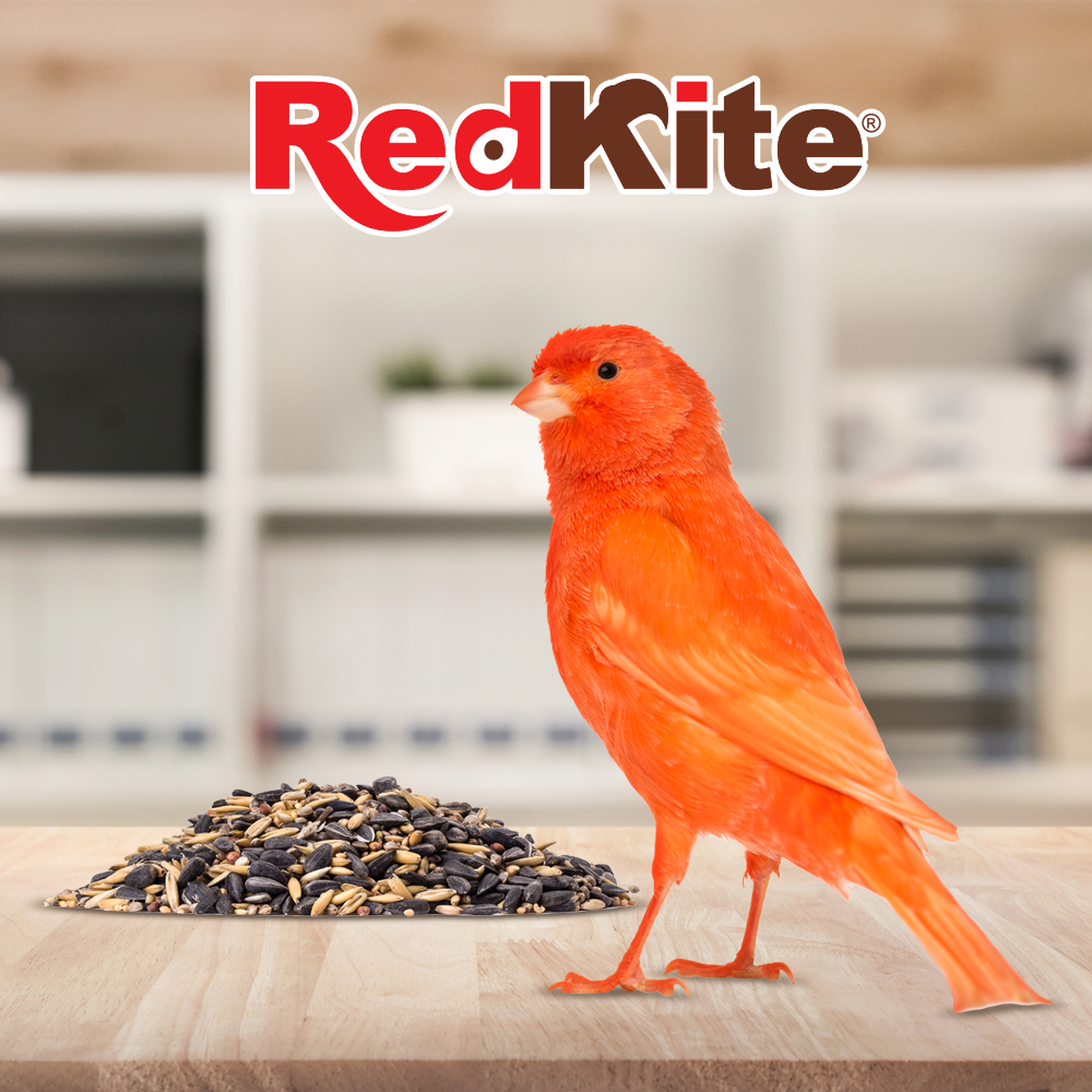 Redkite alimento balanceado Para Canarios Y Finches 500 grs
