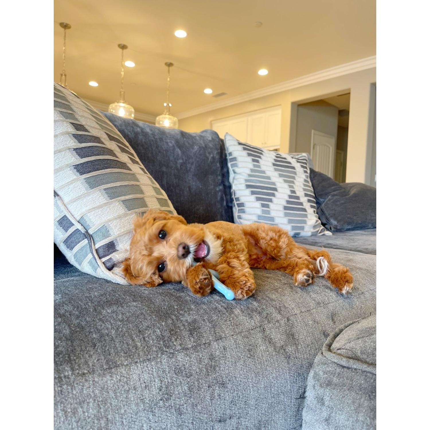 jpg_1500x1500_67953211