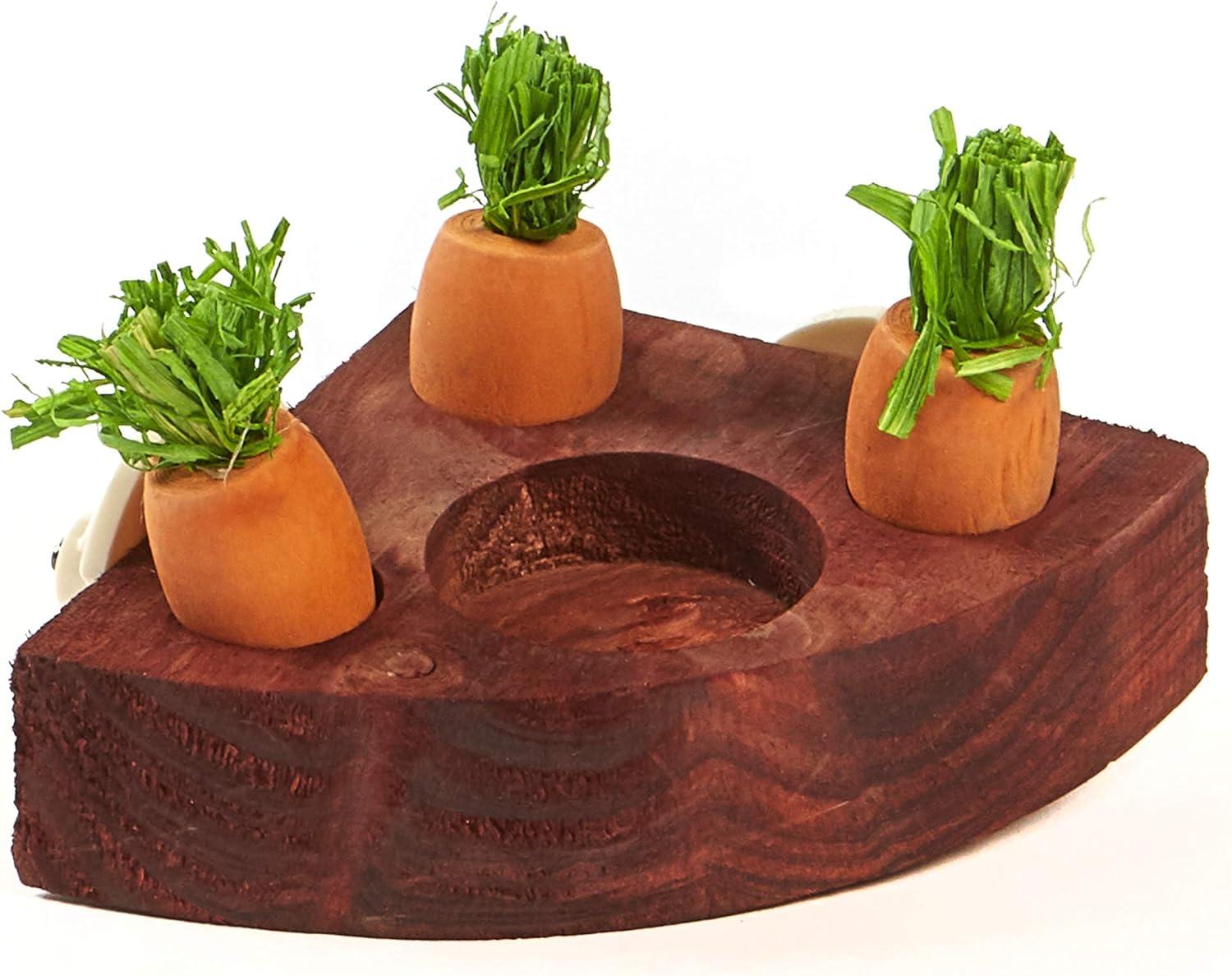 Kaytee juguete interactivo Zanahorias Toss & Learn conejo