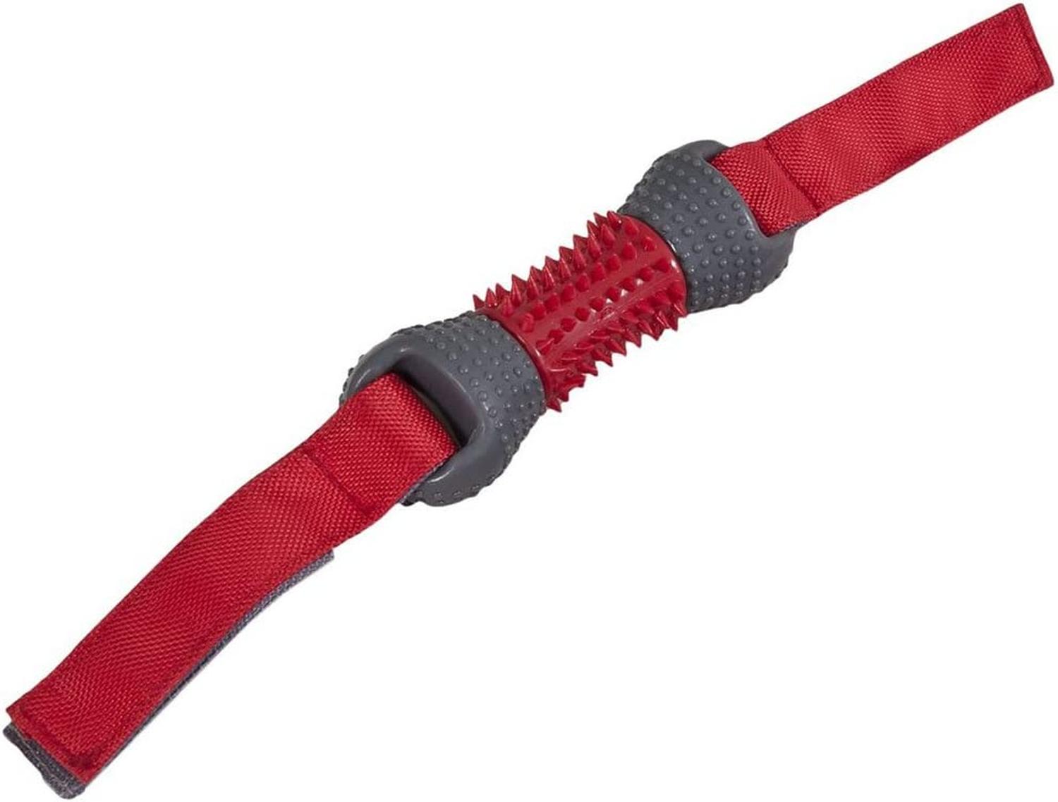 Juguete Para Perro Dogzilla Dino Tug Gde Flota Y Dental