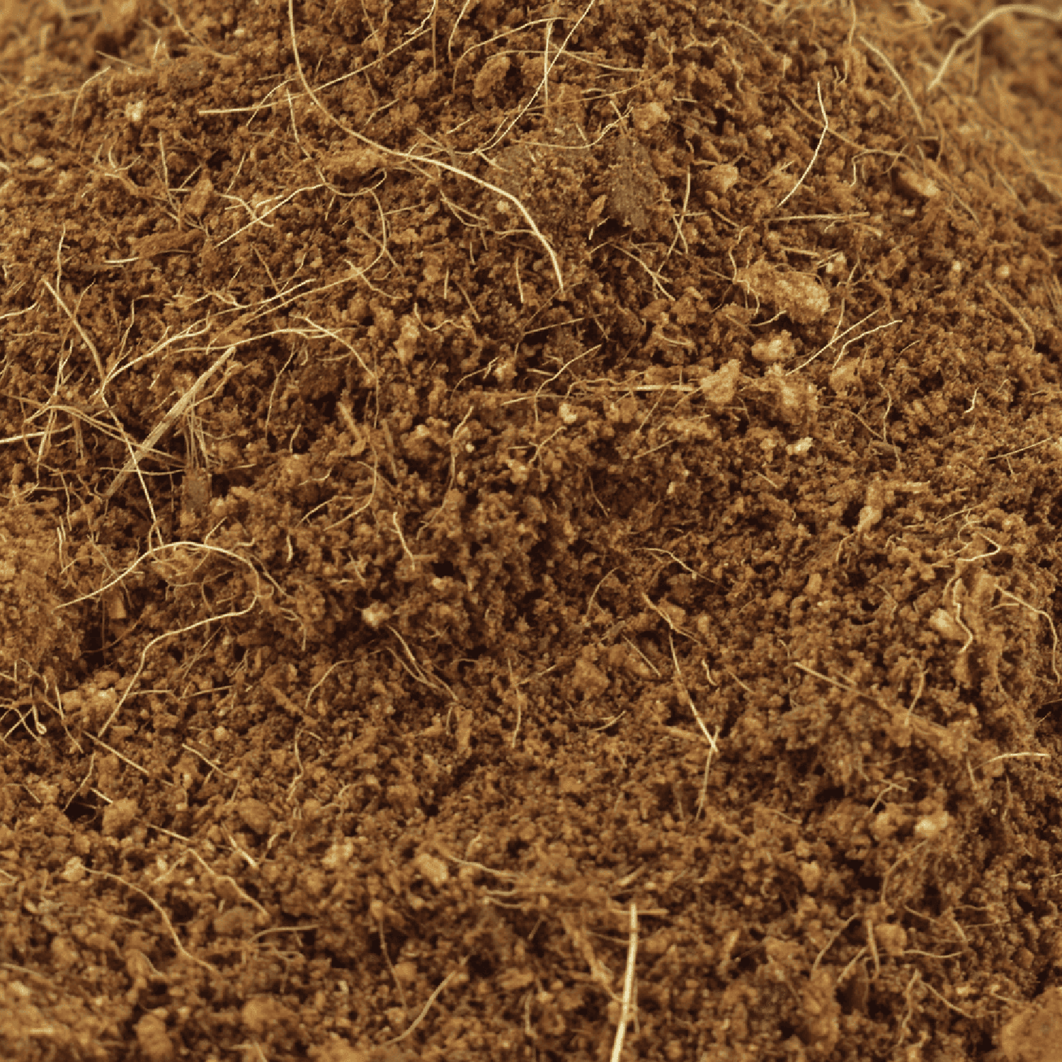 Reptilia Sustrato De Coco 100% Polvillo reptiles y anfibios 8L