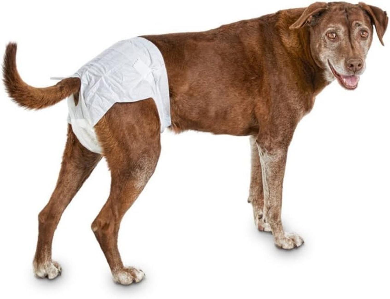 Dry Pet Large Dog Diapers 12 Pieces